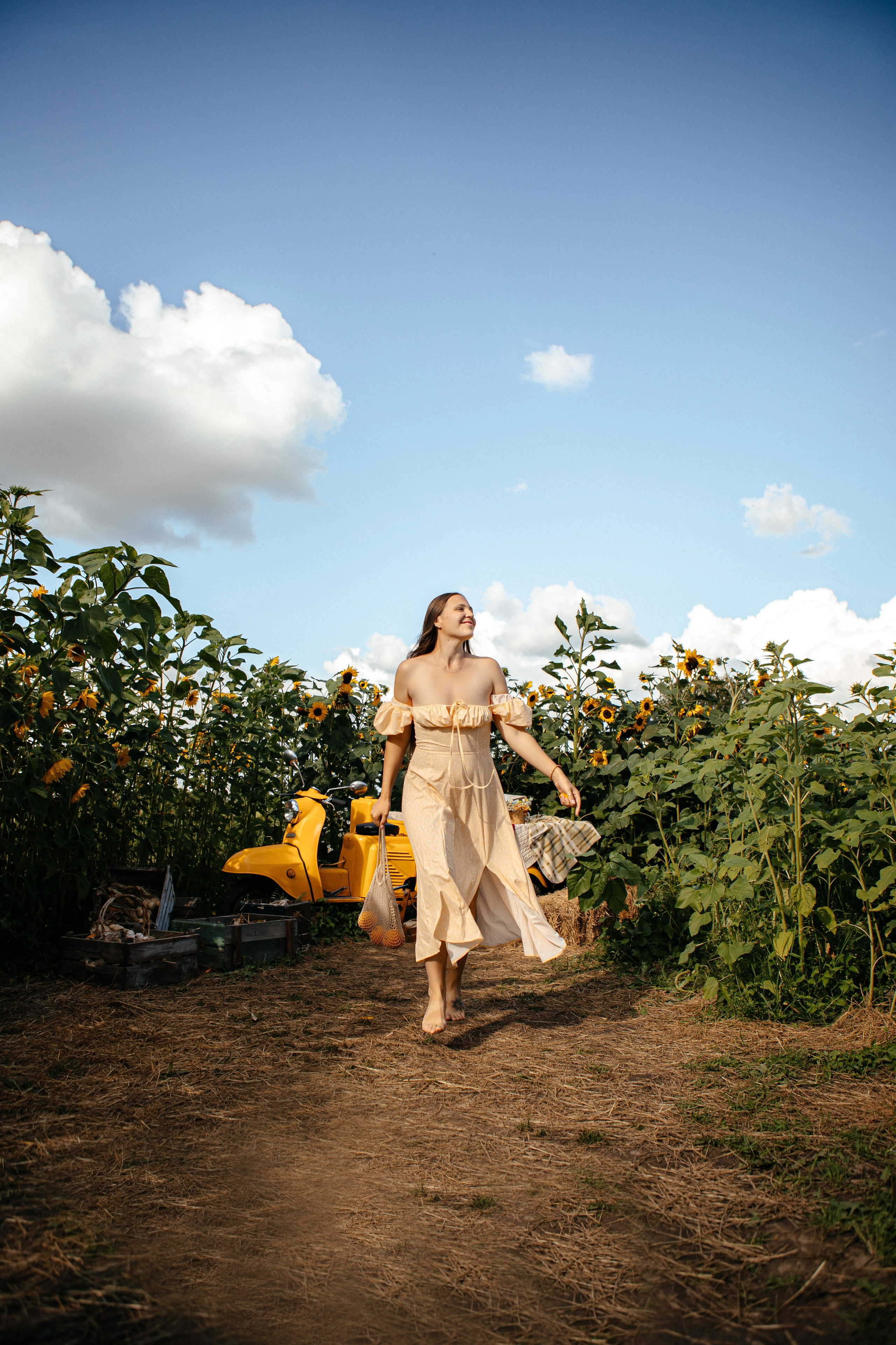 Семья в подсолнухах. Elena Sova — семейный и женский фотограф в Санкт-Петербурге