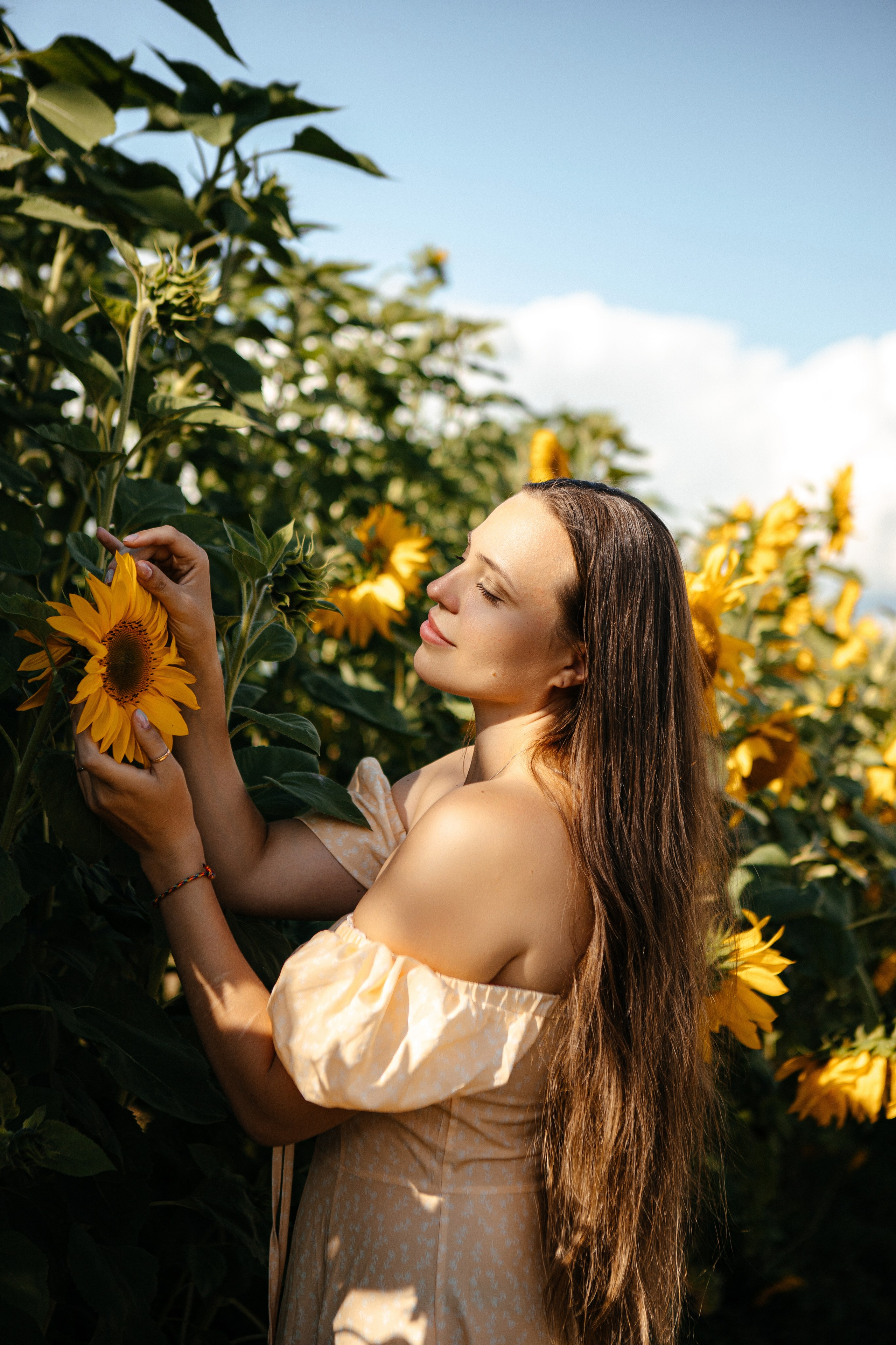 Семья в подсолнухах. Elena Sova — семейный и женский фотограф в Санкт-Петербурге