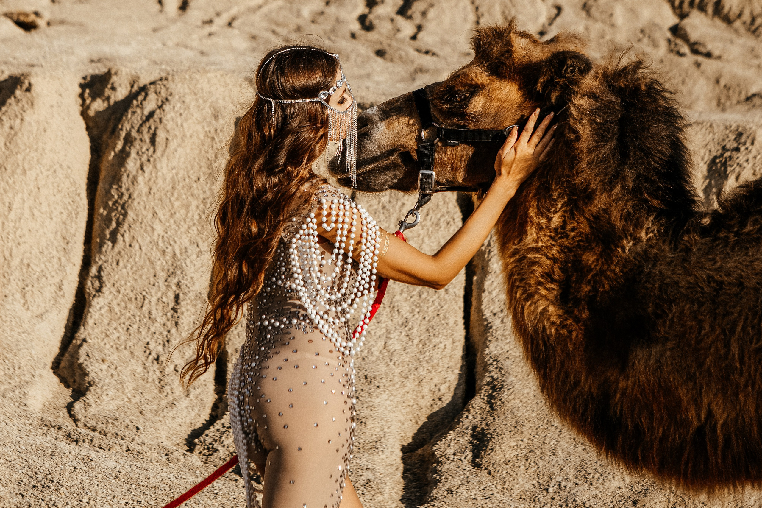 Девушки с верблюдом. Elena Sova — семейный и женский фотограф в Санкт-Петербурге