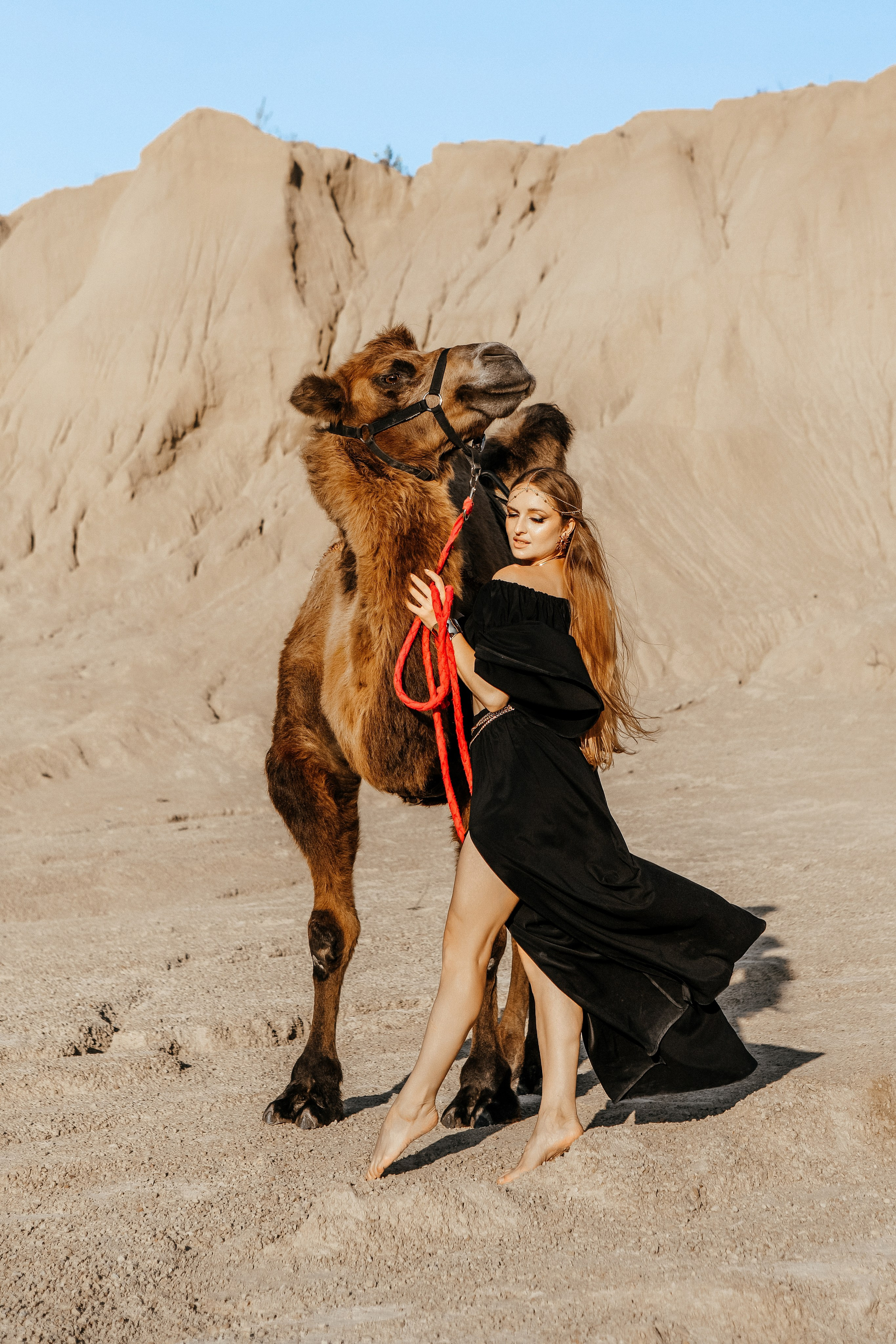 Девушки с верблюдом. Elena Sova — семейный и женский фотограф в Санкт-Петербурге