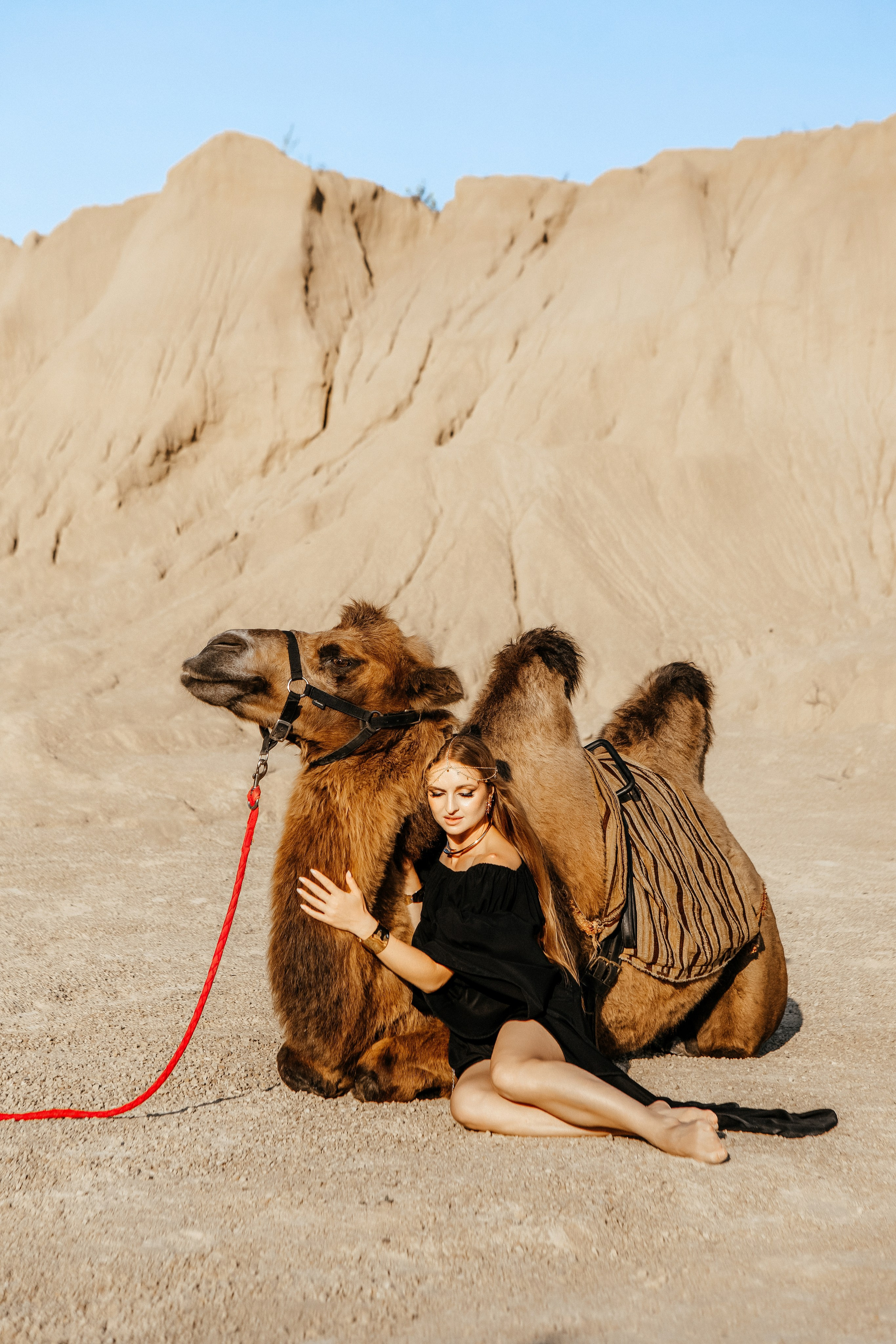 Девушки с верблюдом. Elena Sova — семейный и женский фотограф в Санкт-Петербурге