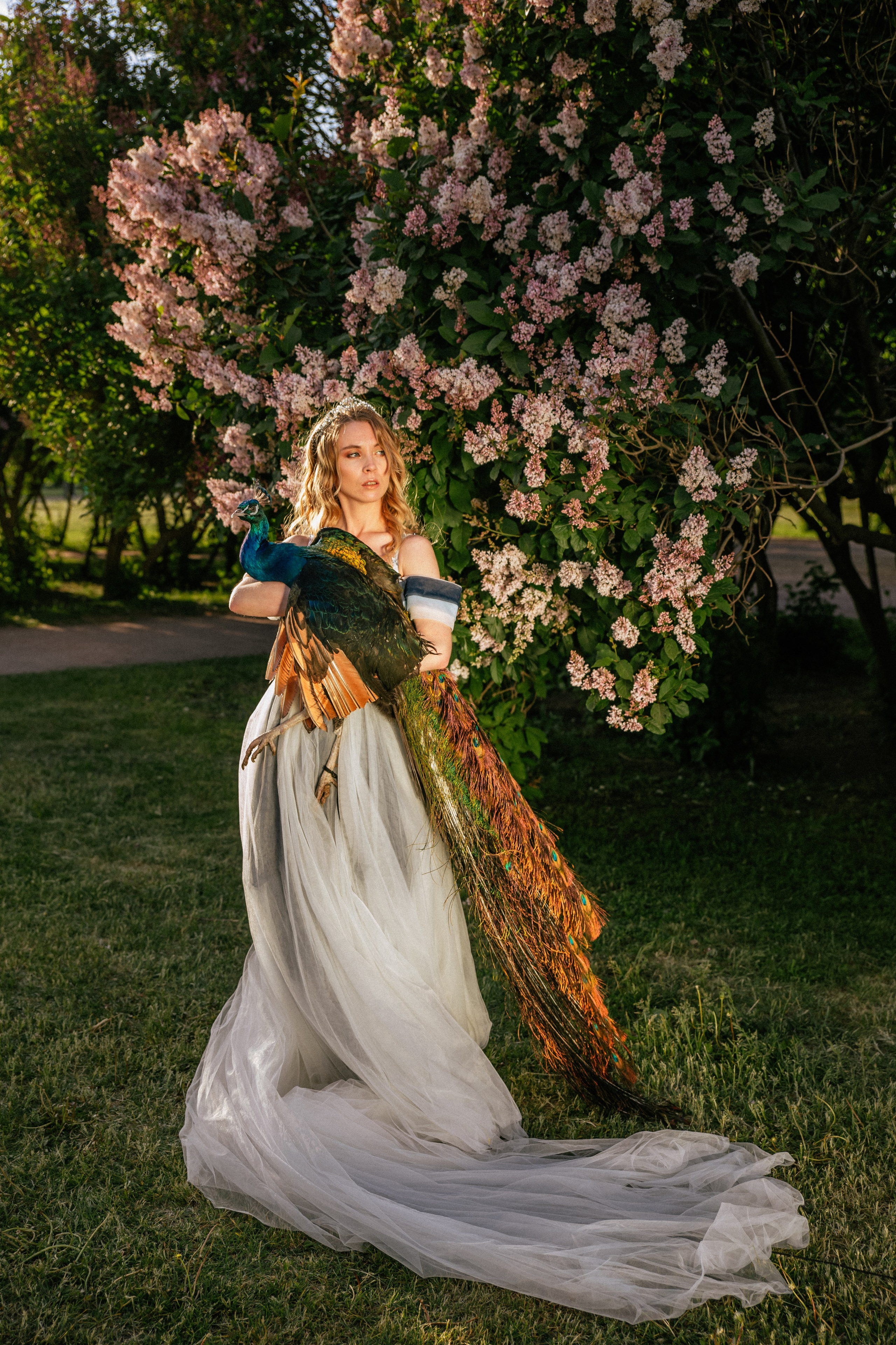 Павлин. Elena Sova — семейный и женский фотограф в Санкт-Петербурге