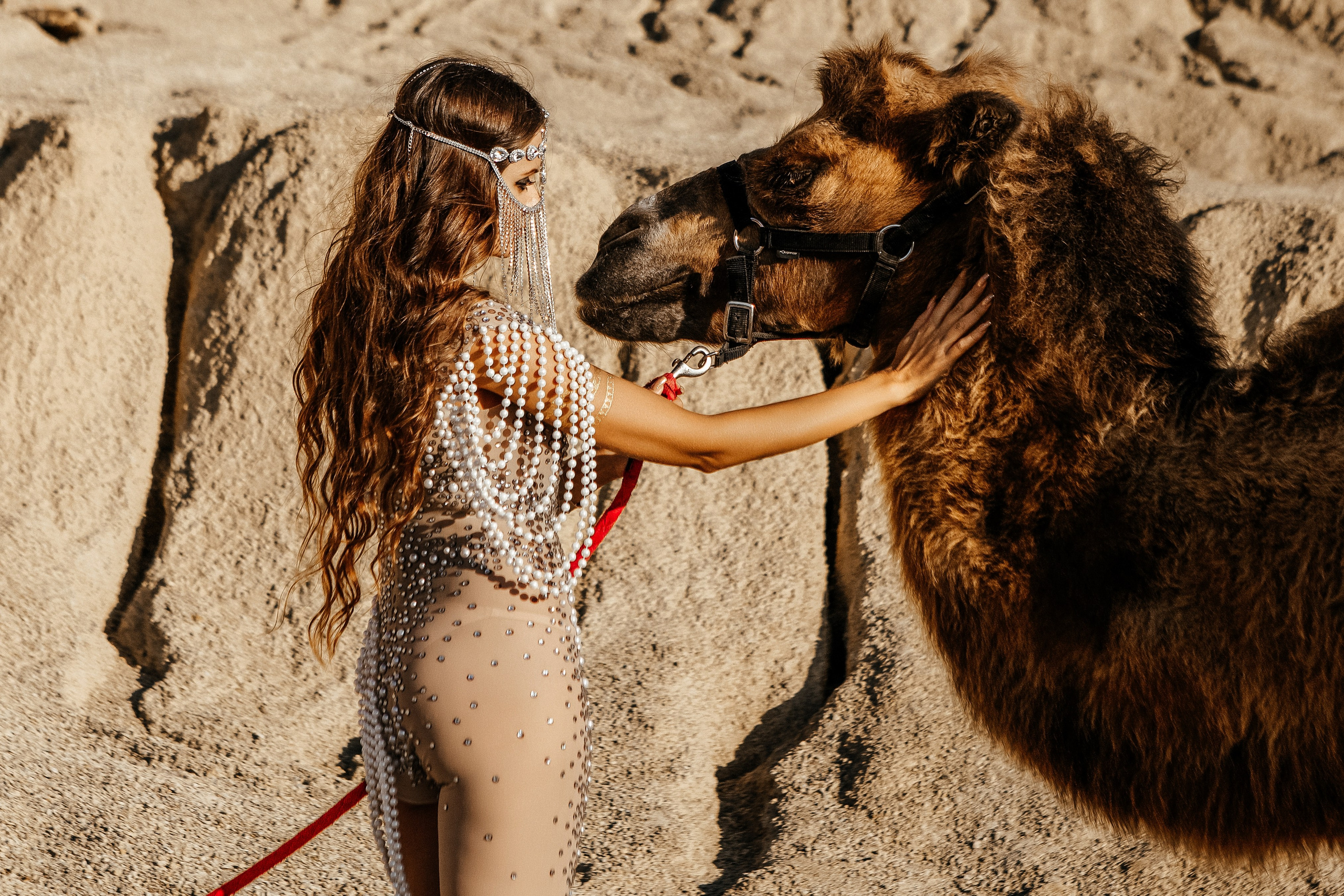 Девушки с верблюдом. Elena Sova — семейный и женский фотограф в Санкт-Петербурге