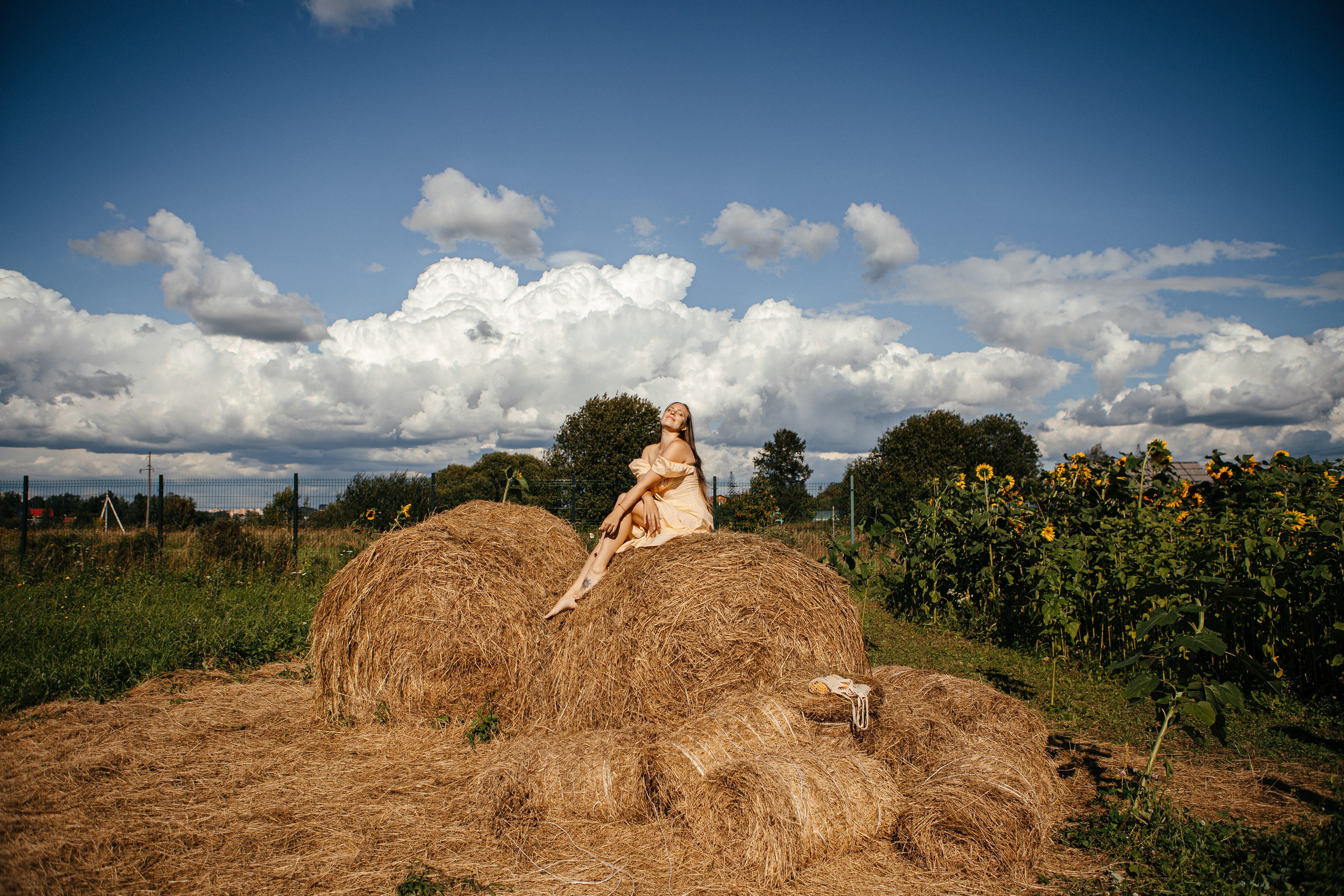 Семья в подсолнухах. Elena Sova — семейный и женский фотограф в Санкт-Петербурге