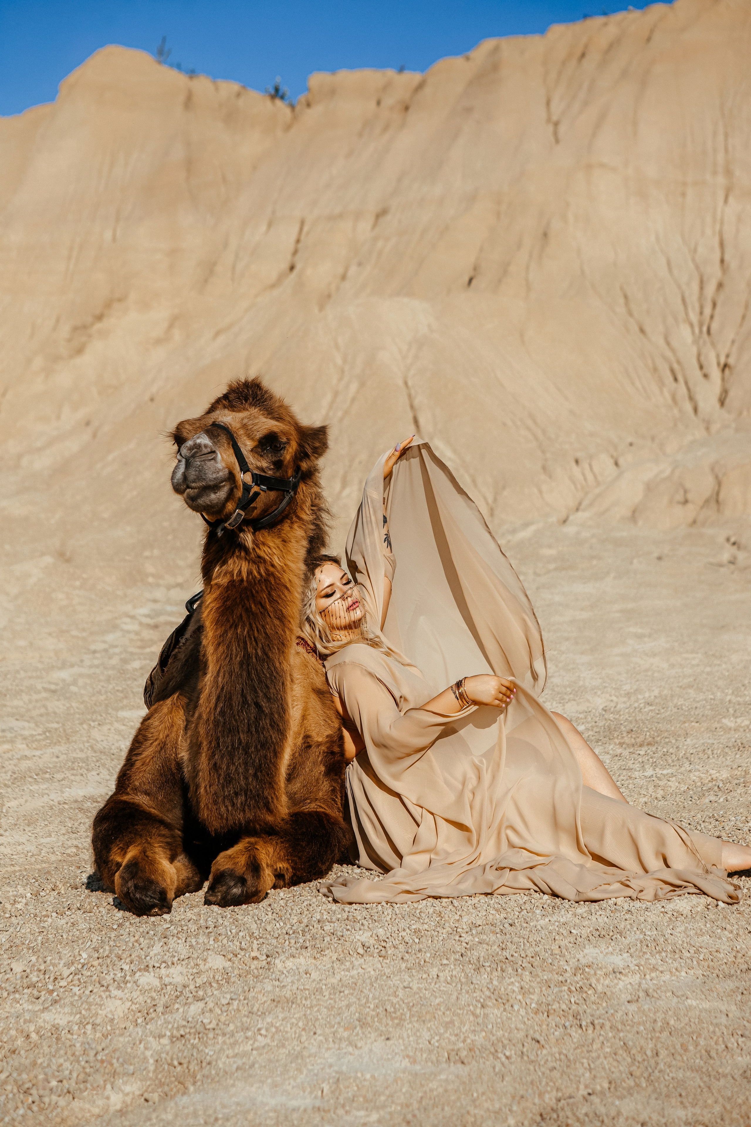 Девушки с верблюдом. Elena Sova — семейный и женский фотограф в Санкт-Петербурге