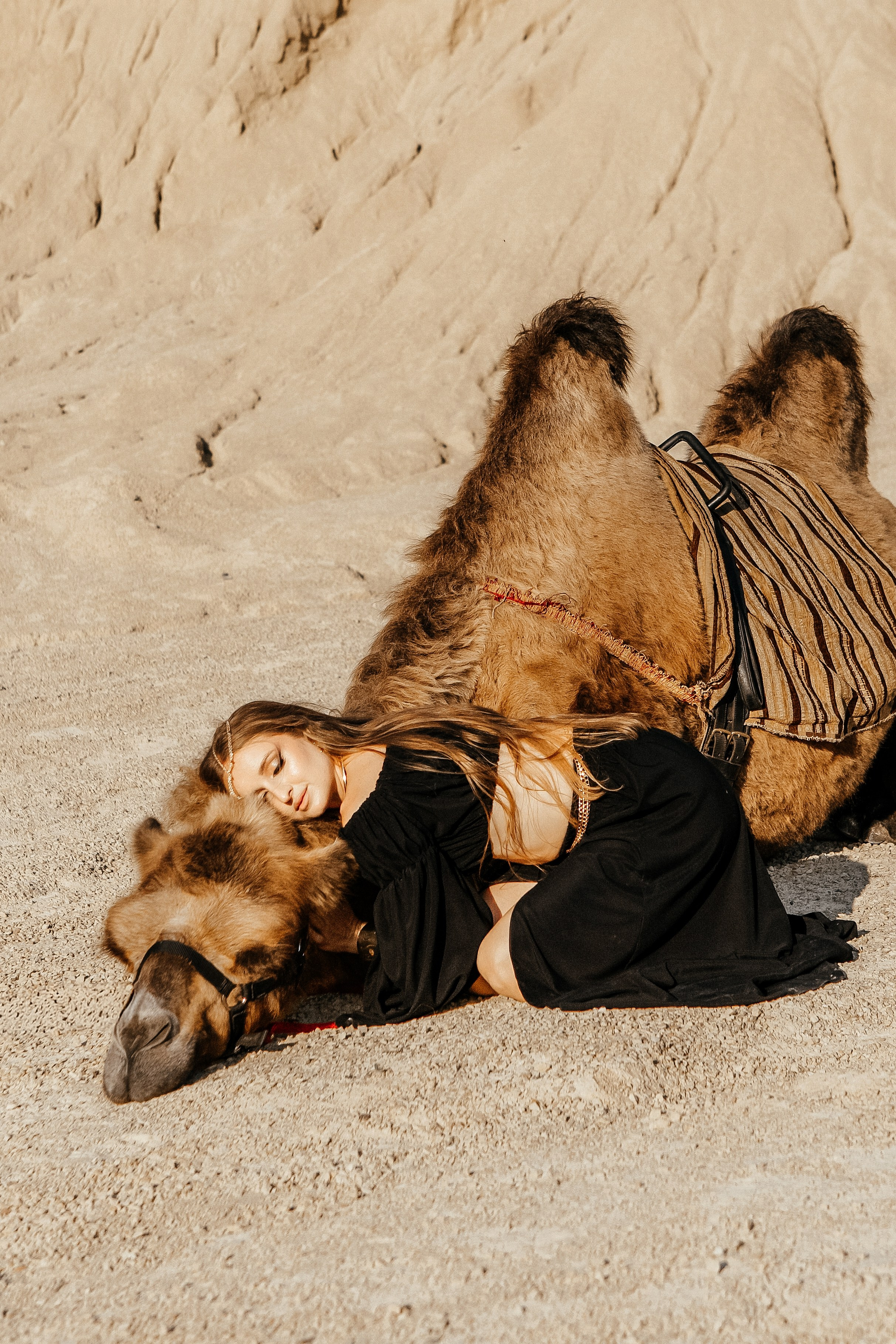 Девушки с верблюдом. Elena Sova — семейный и женский фотограф в Санкт-Петербурге