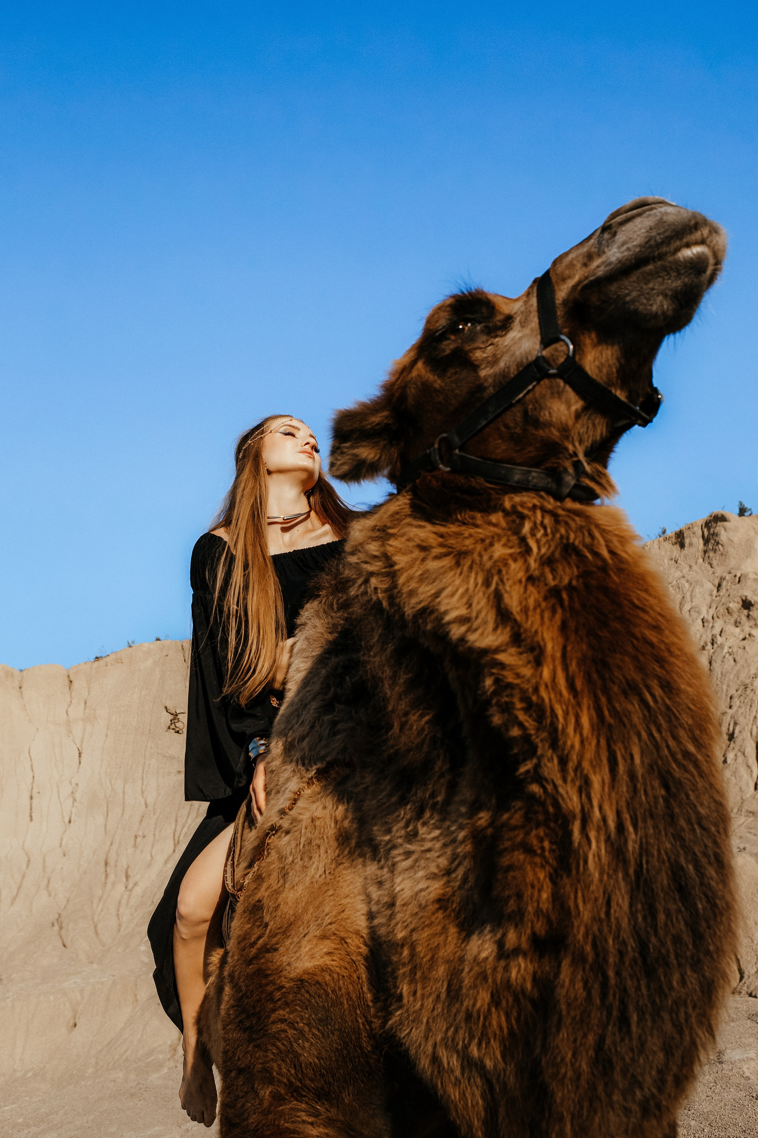 Девушки с верблюдом. Elena Sova — семейный и женский фотограф в Санкт-Петербурге
