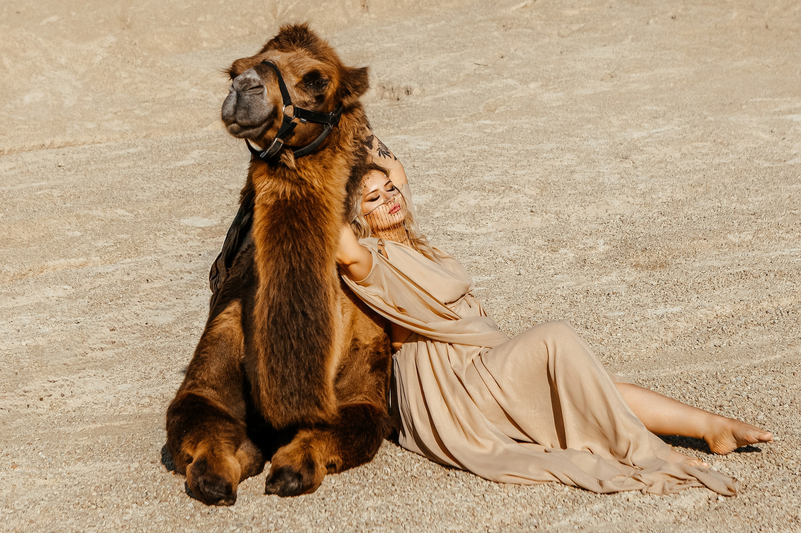 Девушки с верблюдом. Elena Sova — семейный и женский фотограф в Санкт-Петербурге