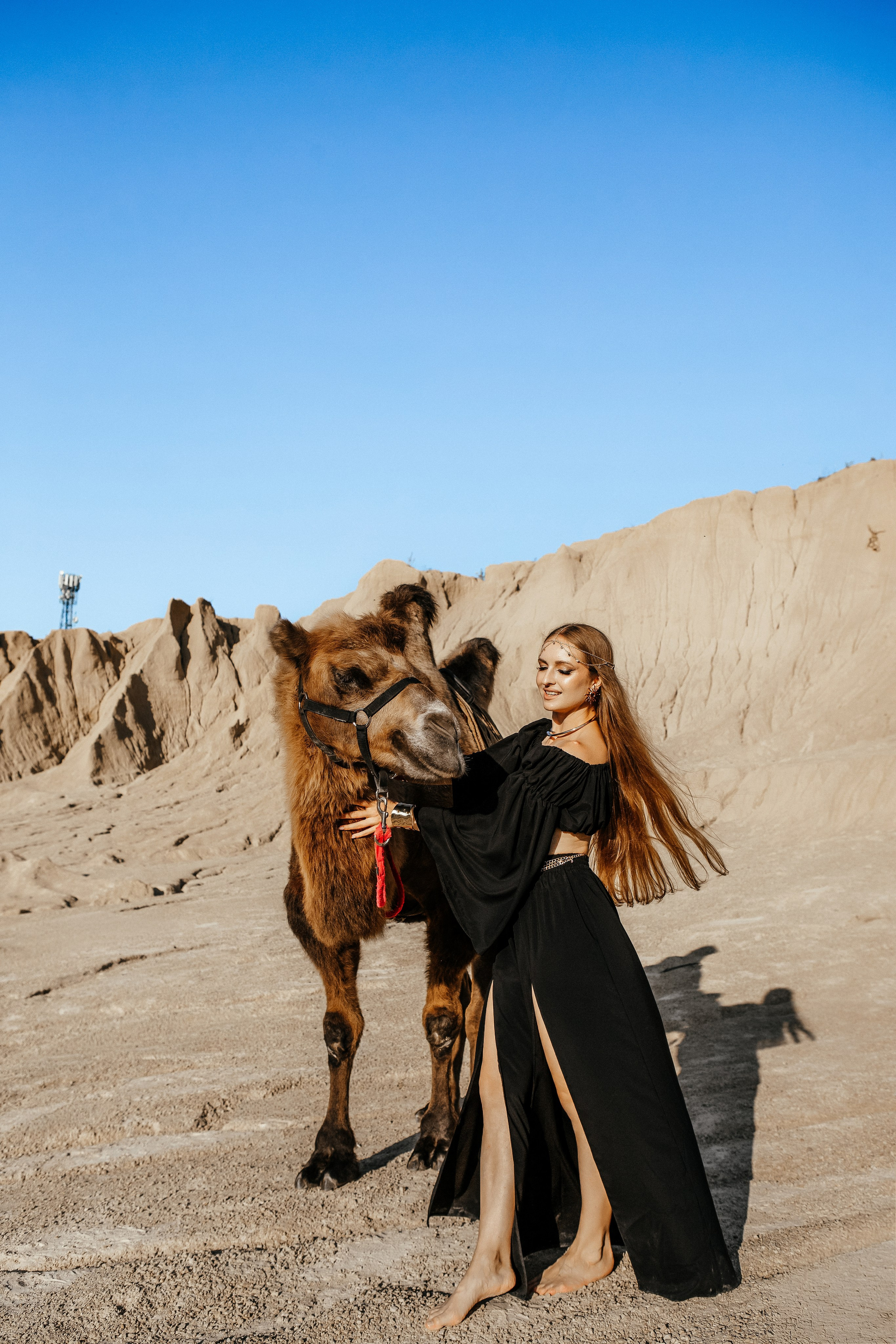 Девушки с верблюдом. Elena Sova — семейный и женский фотограф в Санкт-Петербурге