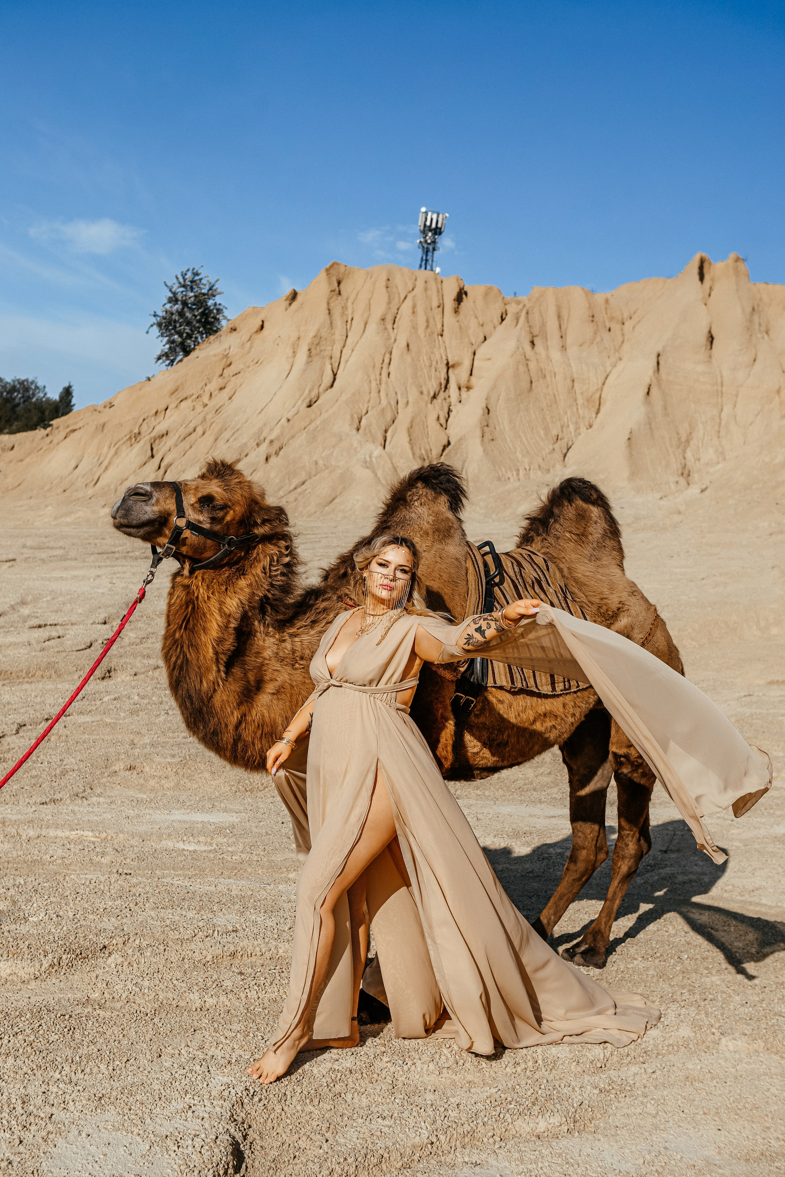 Девушки с верблюдом. Elena Sova — семейный и женский фотограф в Санкт-Петербурге