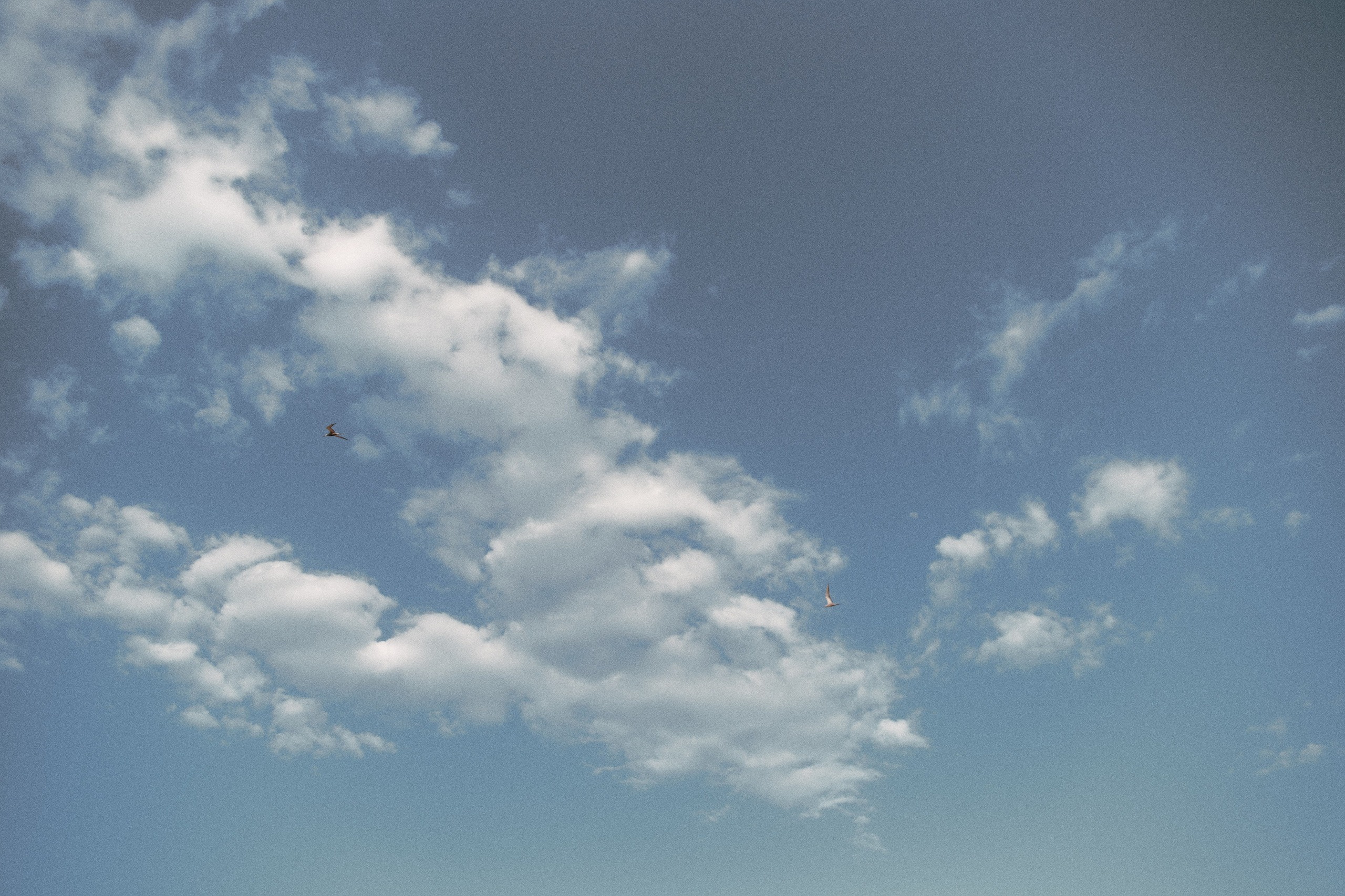 Улица горизонтальная. Jorgis — фотограф в Хургаде / обучение фотографии