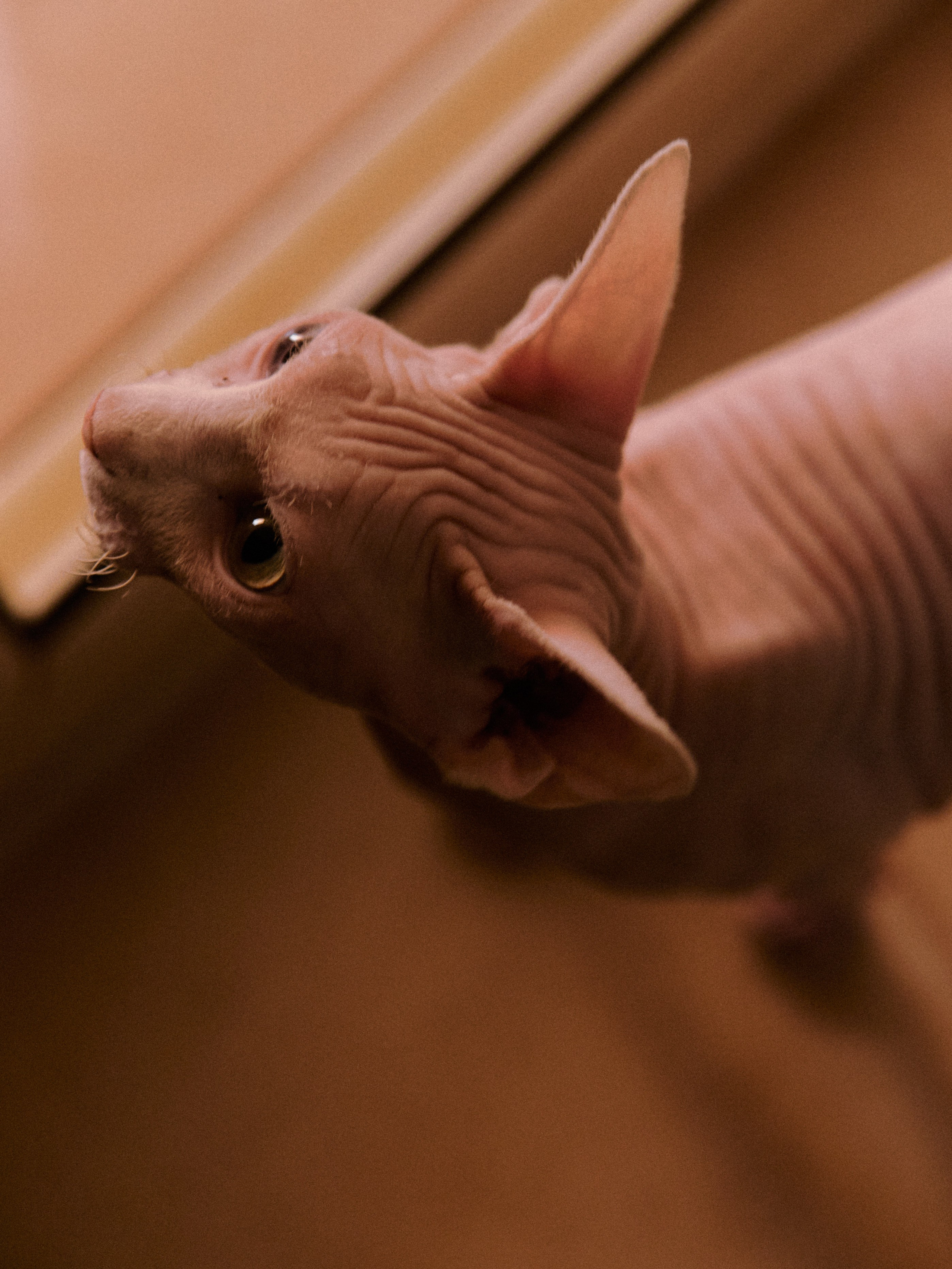 Диптих. Jorgis — фотограф в Хургаде / обучение фотографии