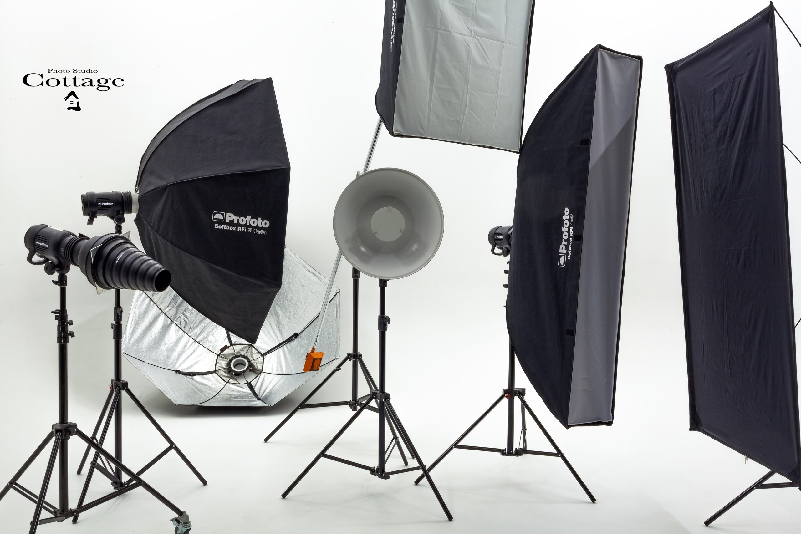 Фотостудия Cottage (1). Фотограф беременных в СПб — Елена Александрова