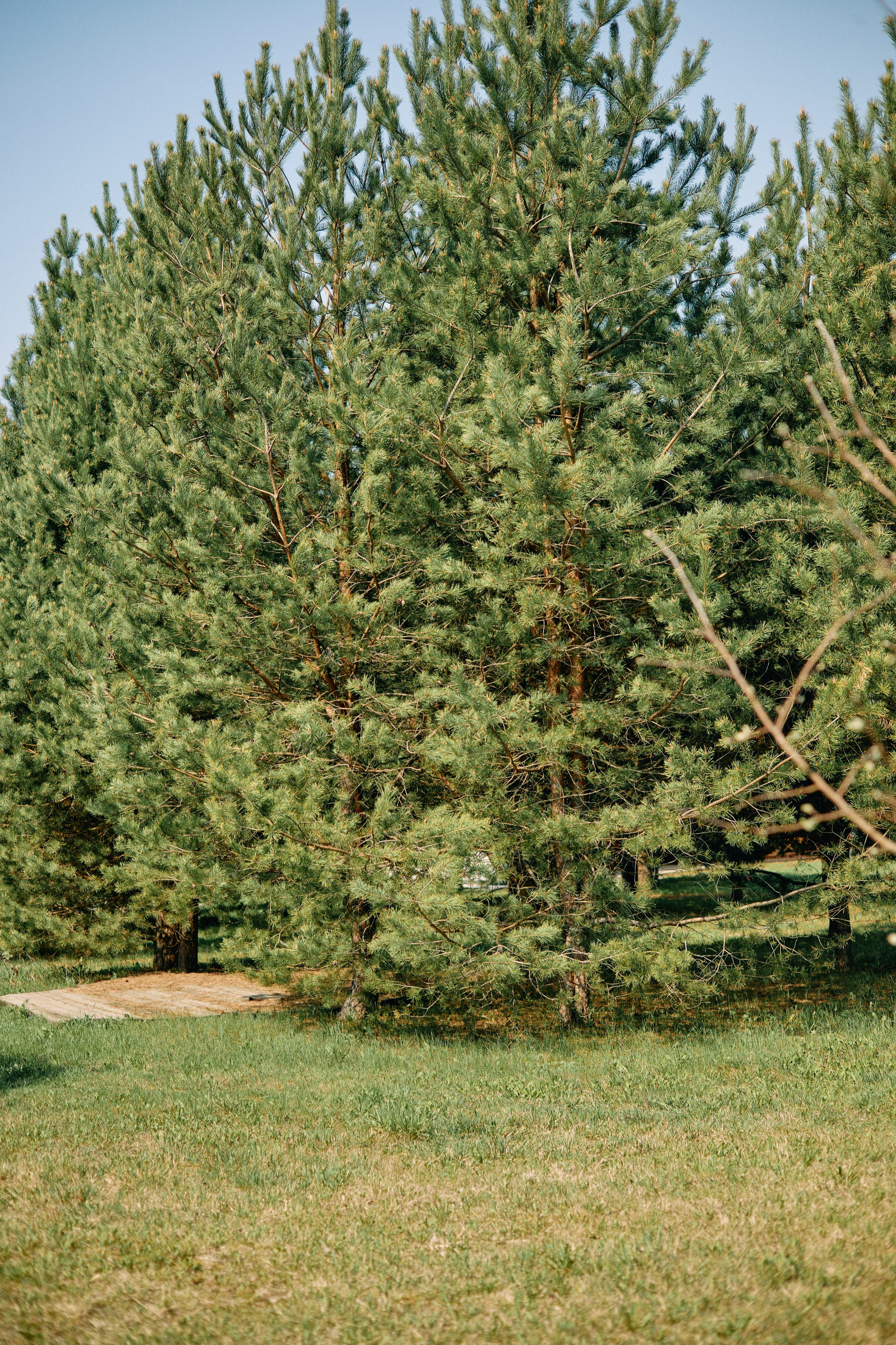 Бутик-отель Поле летом. Профессиональный Фотограф во Владимире, в Москве и в Суздале — Полина Романычева