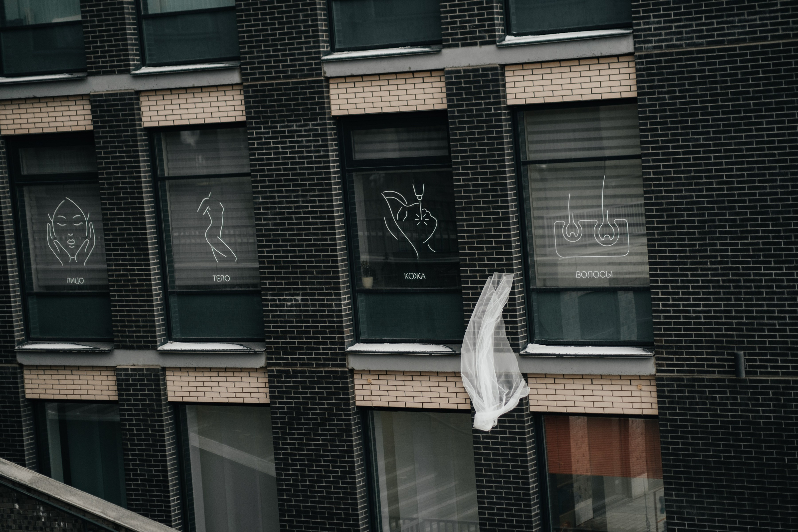 Нск_осень. Свадебный и семейный фотограф Барнаул Рубцовск Бийск Алтайский край