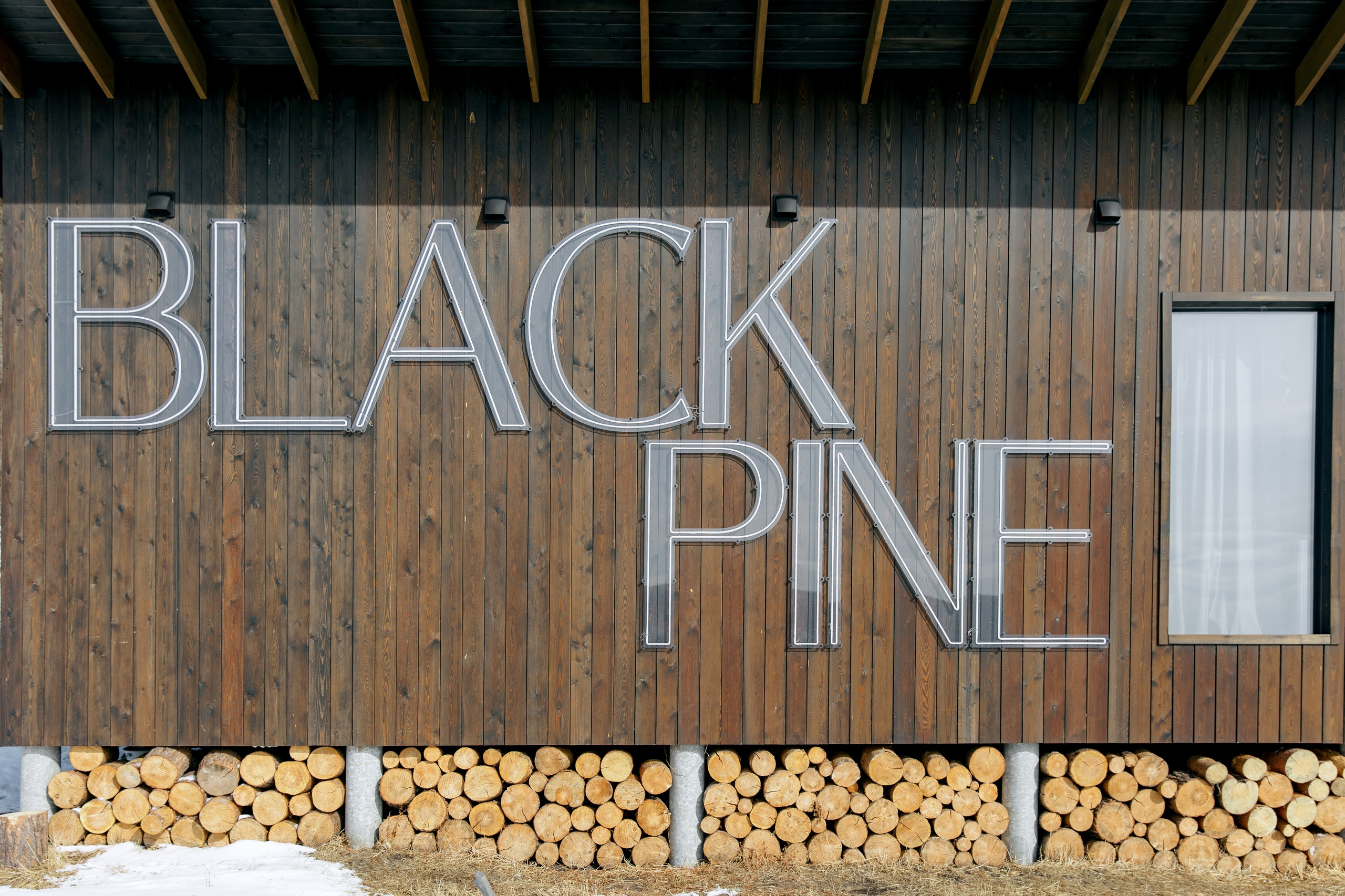 ДЕНЬ ДОЖДЕНИЯ ЕКАТЕРИНЫ. Фотограф в Красноярске