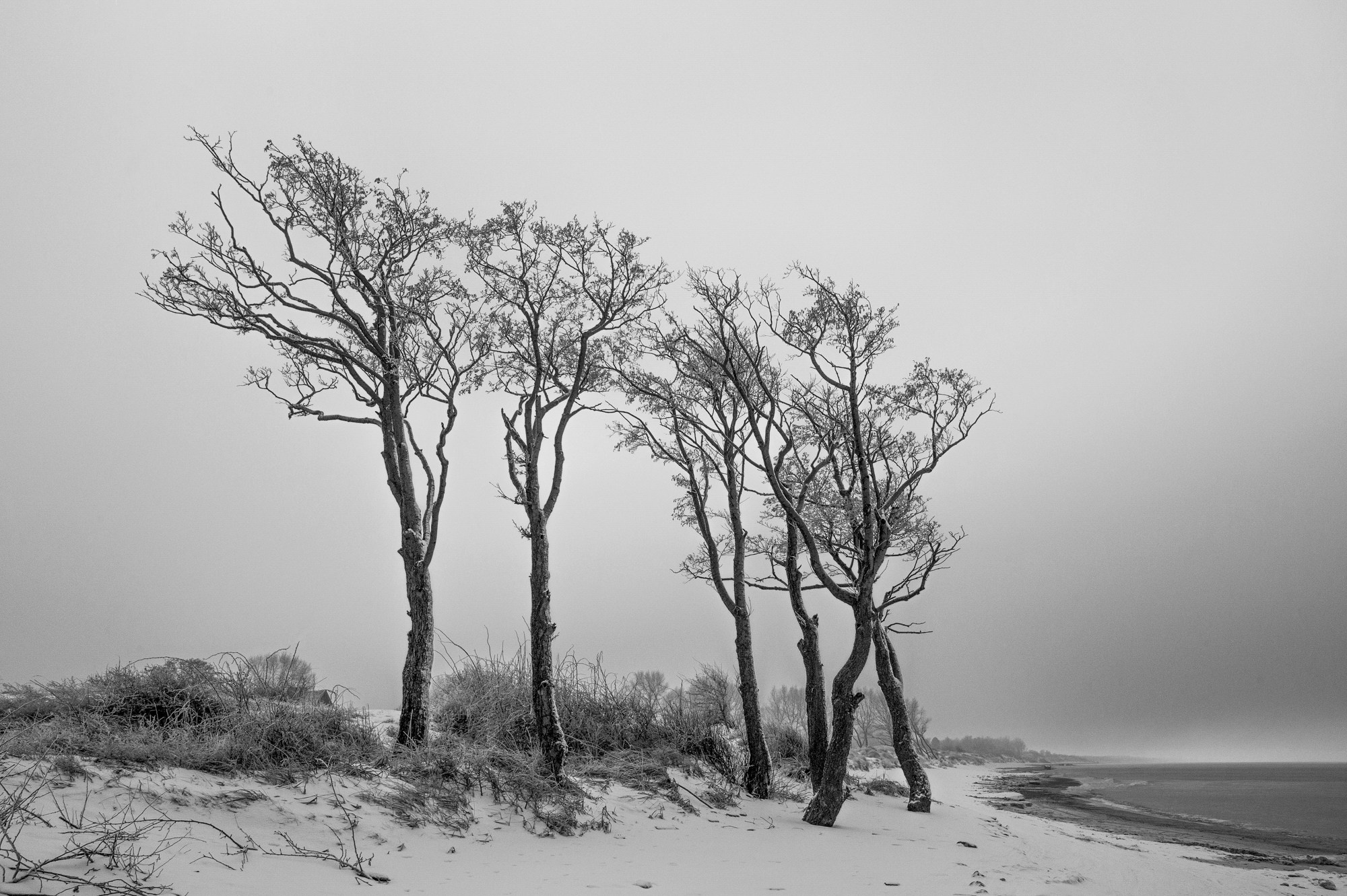 Фотограф Юлия Близнецова