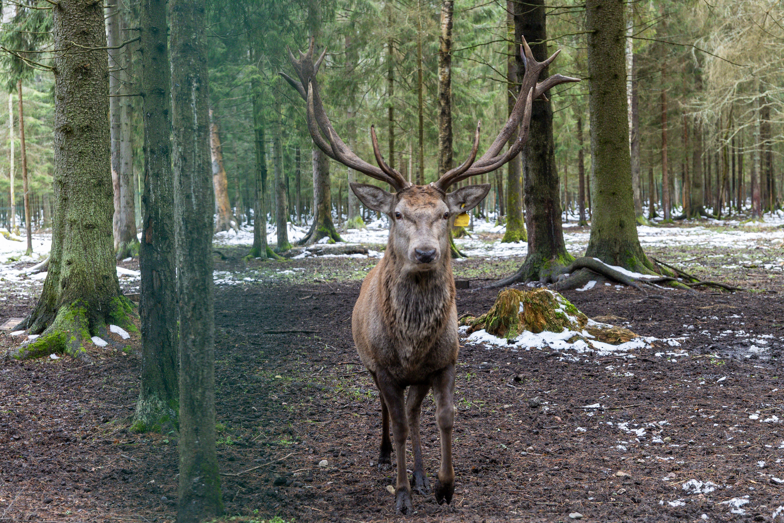Про жизнь. Фотограф Сергей Ловкий