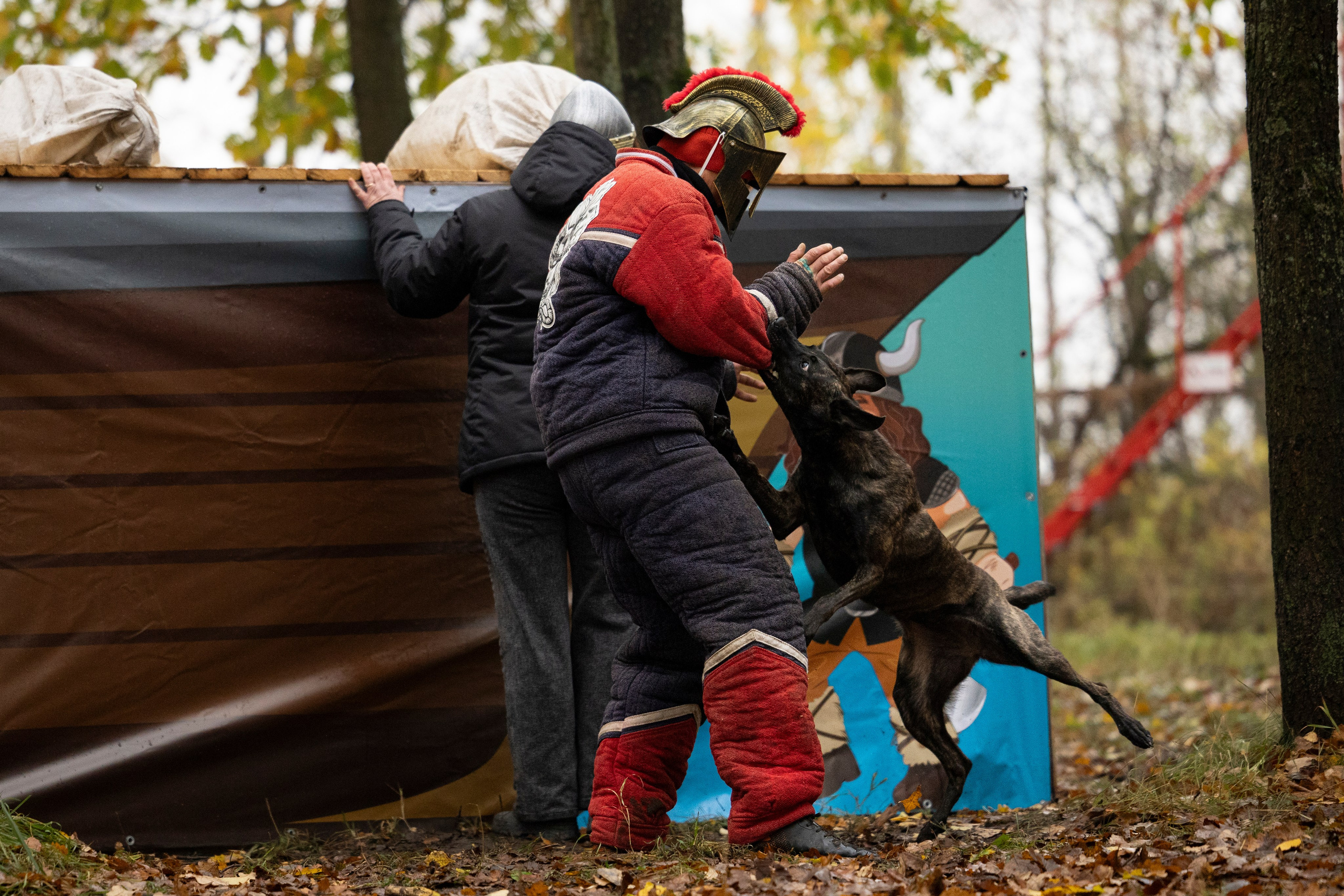 Соревнования по Мондьорингу г. Вологда. Фотограф-анималист Анна Маринич