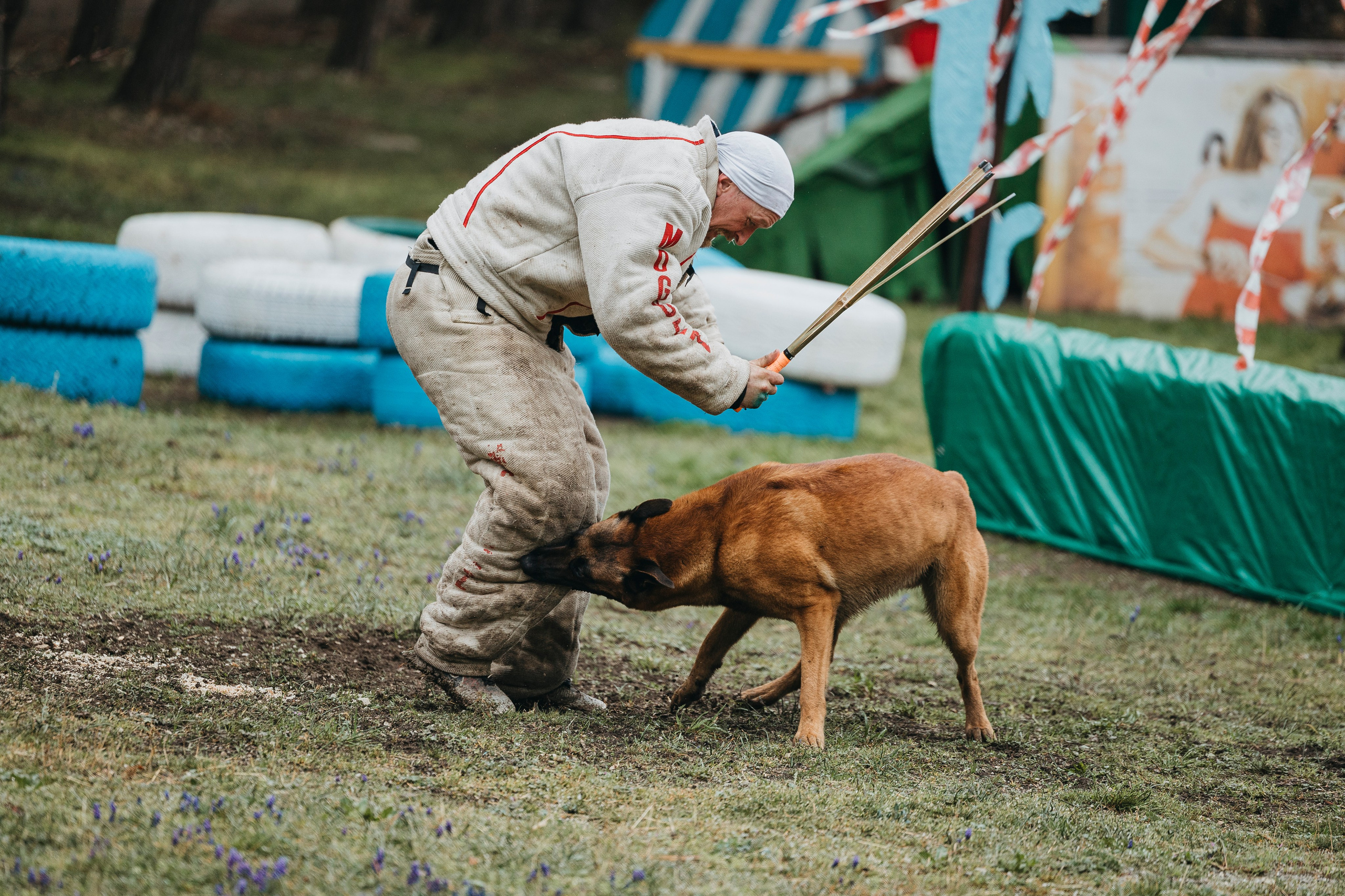 Геленджик Мондьоринг. Фотограф-анималист Анна Маринич