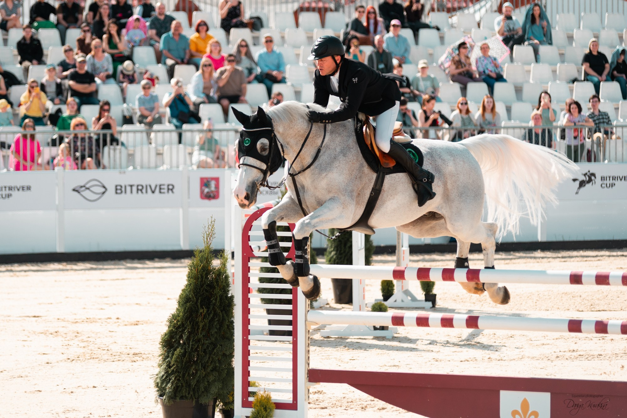 BITRIVER CUP 2023. Конный фотограф Куракина Дарья • Фотосессии с лошадьми
