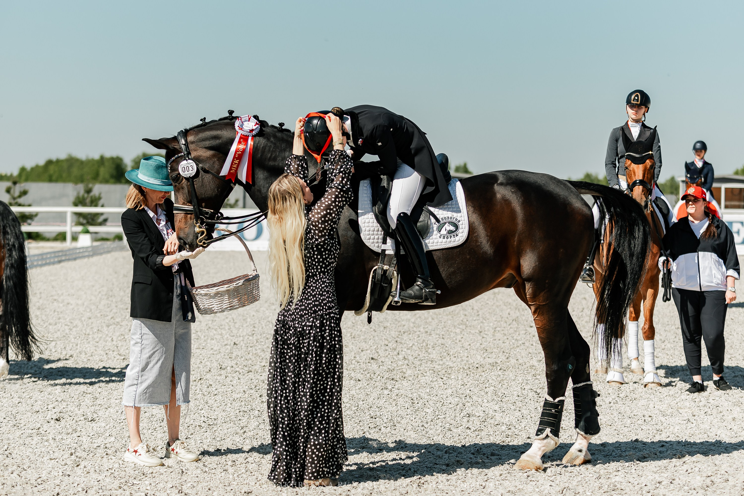 РЕПОРТАЖ МКК ВОЛЬТ «LA TULIPS». Конный фотограф Куракина Дарья • Фотосессии с лошадьми