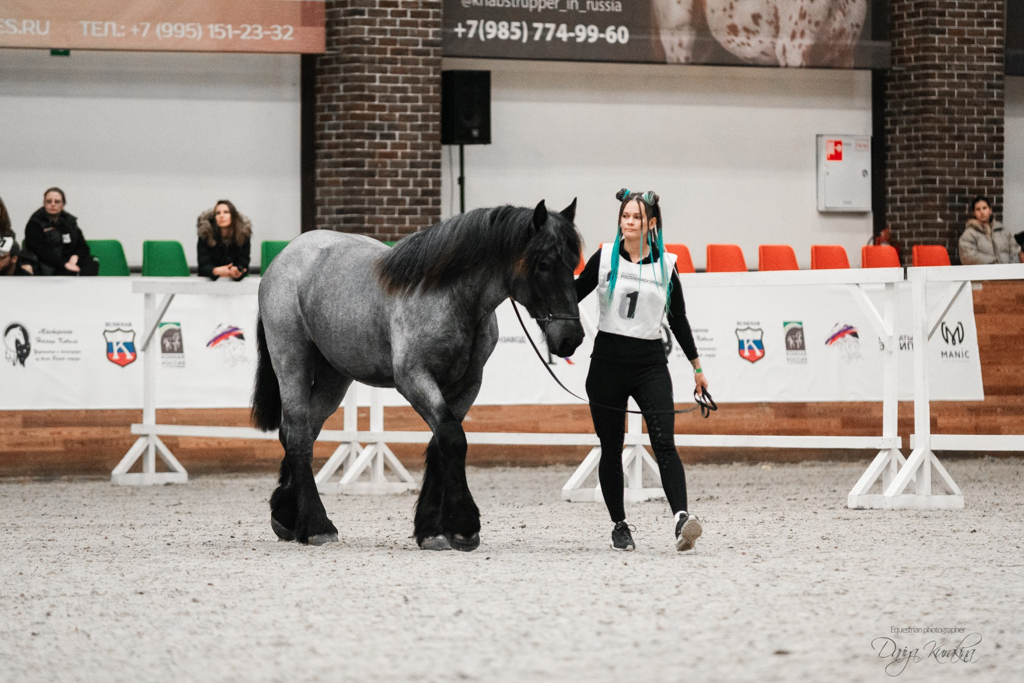 8-я международная выставка Конная Россия. Конный фотограф Куракина Дарья • Фотосессии с лошадьми