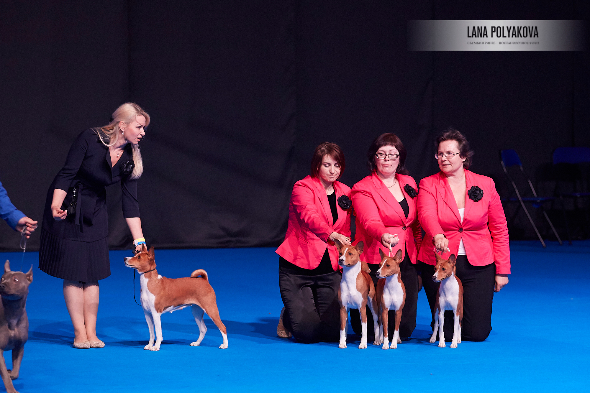 ЕВРАЗИЯ 2018. 1-2 день