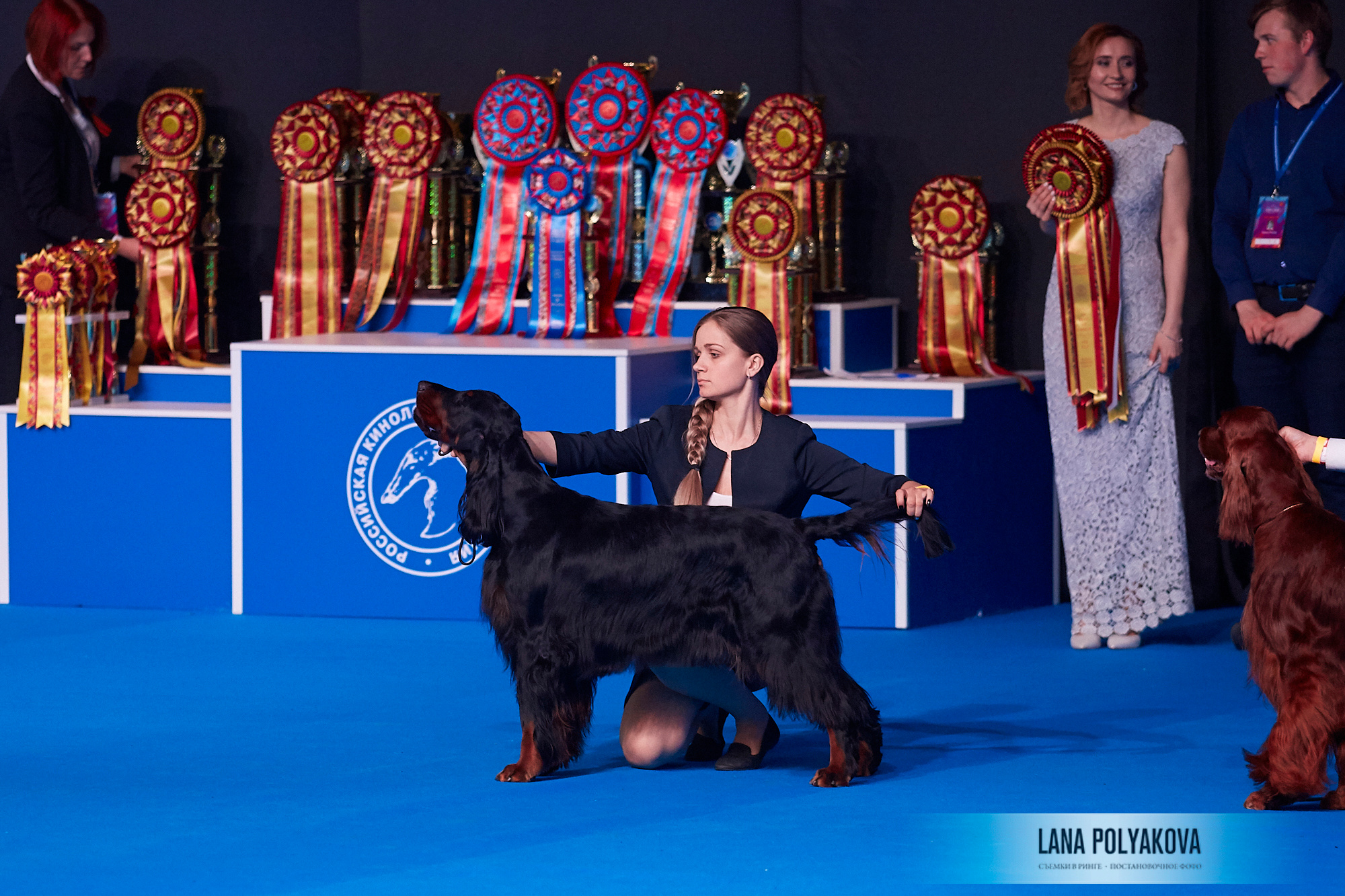 Handler: Veronika Ovodneva