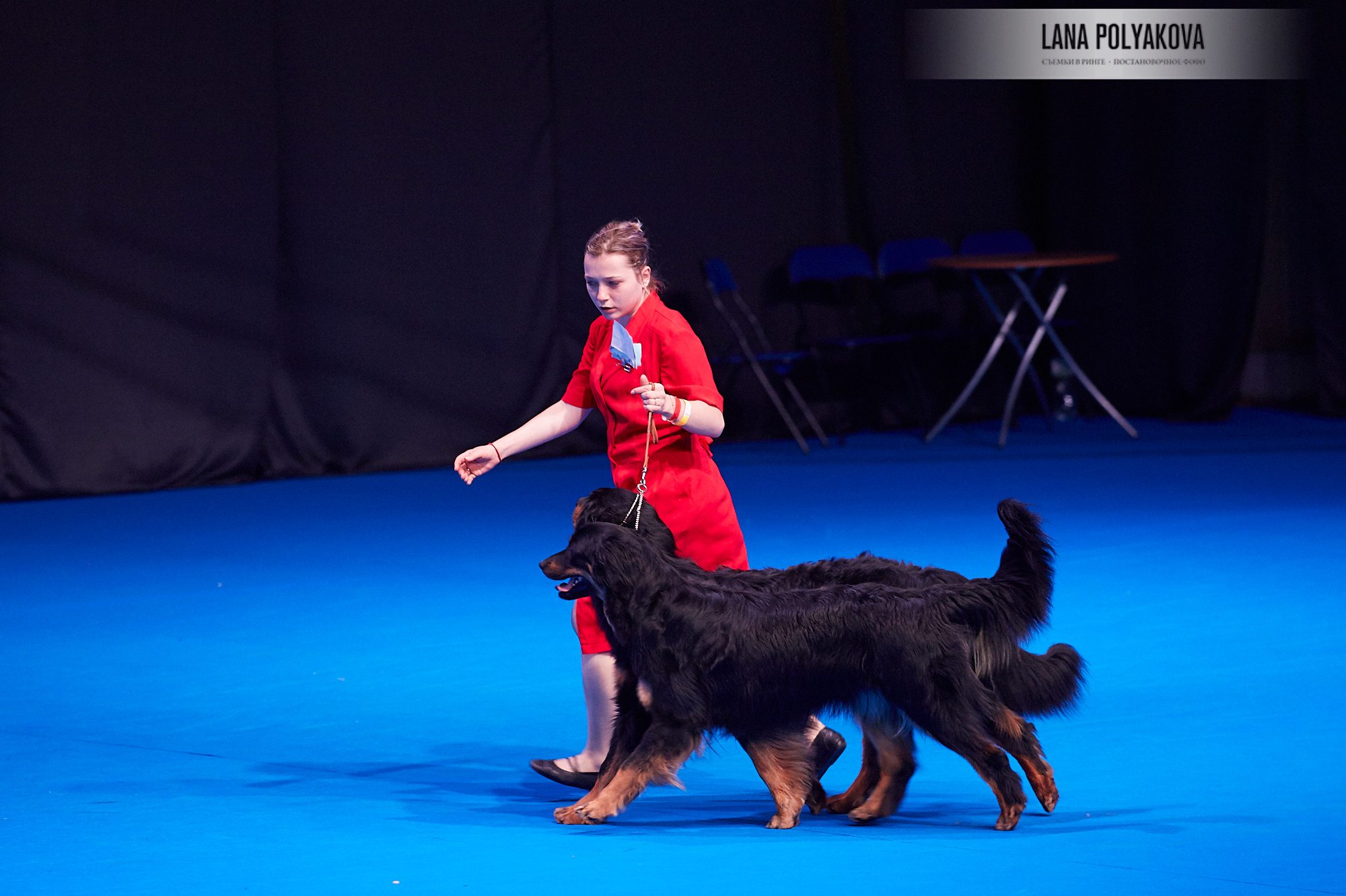 ЕВРАЗИЯ 2018. 1-2 день