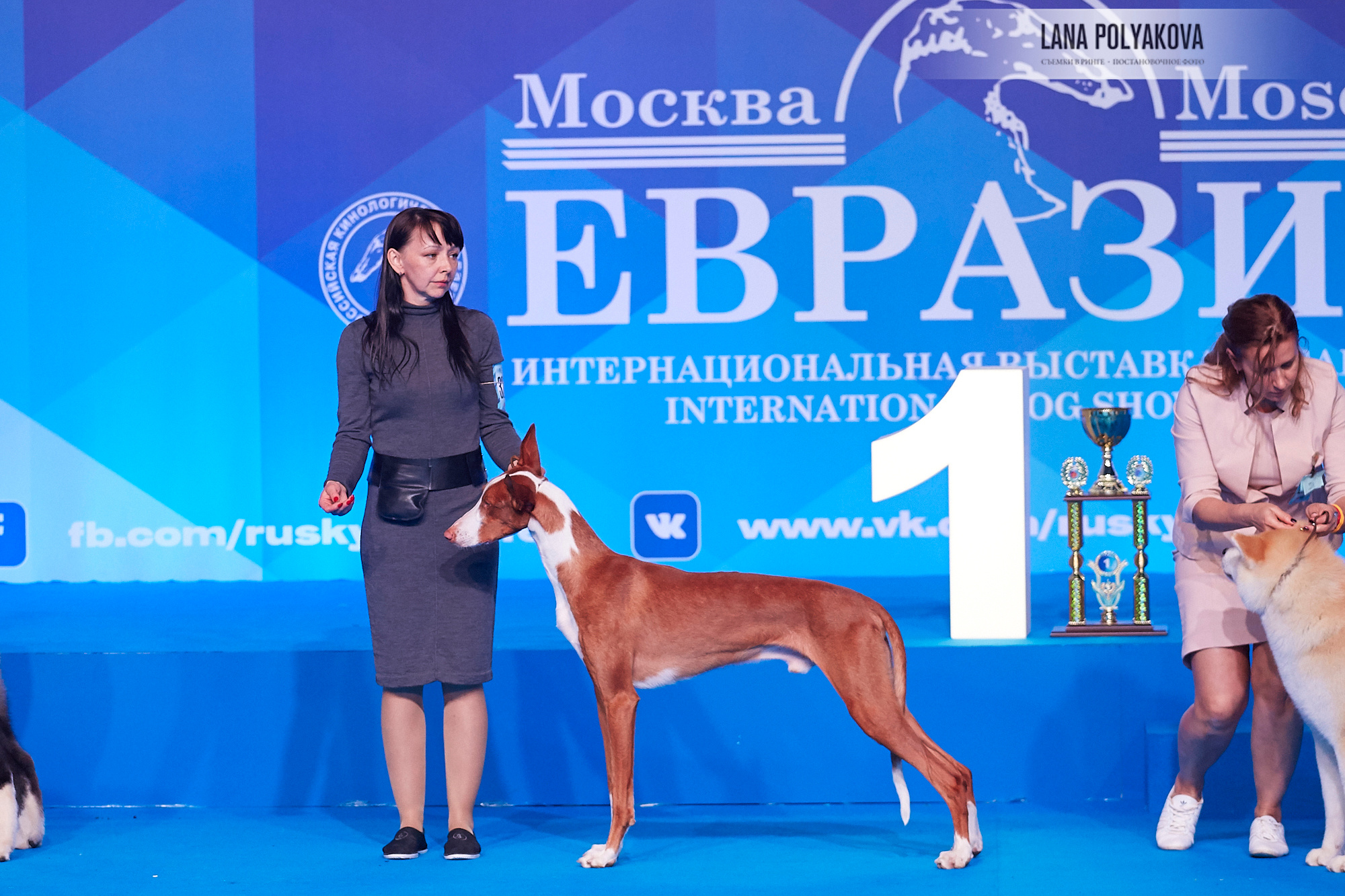 ЕВРАЗИЯ 2018. 1-2 день