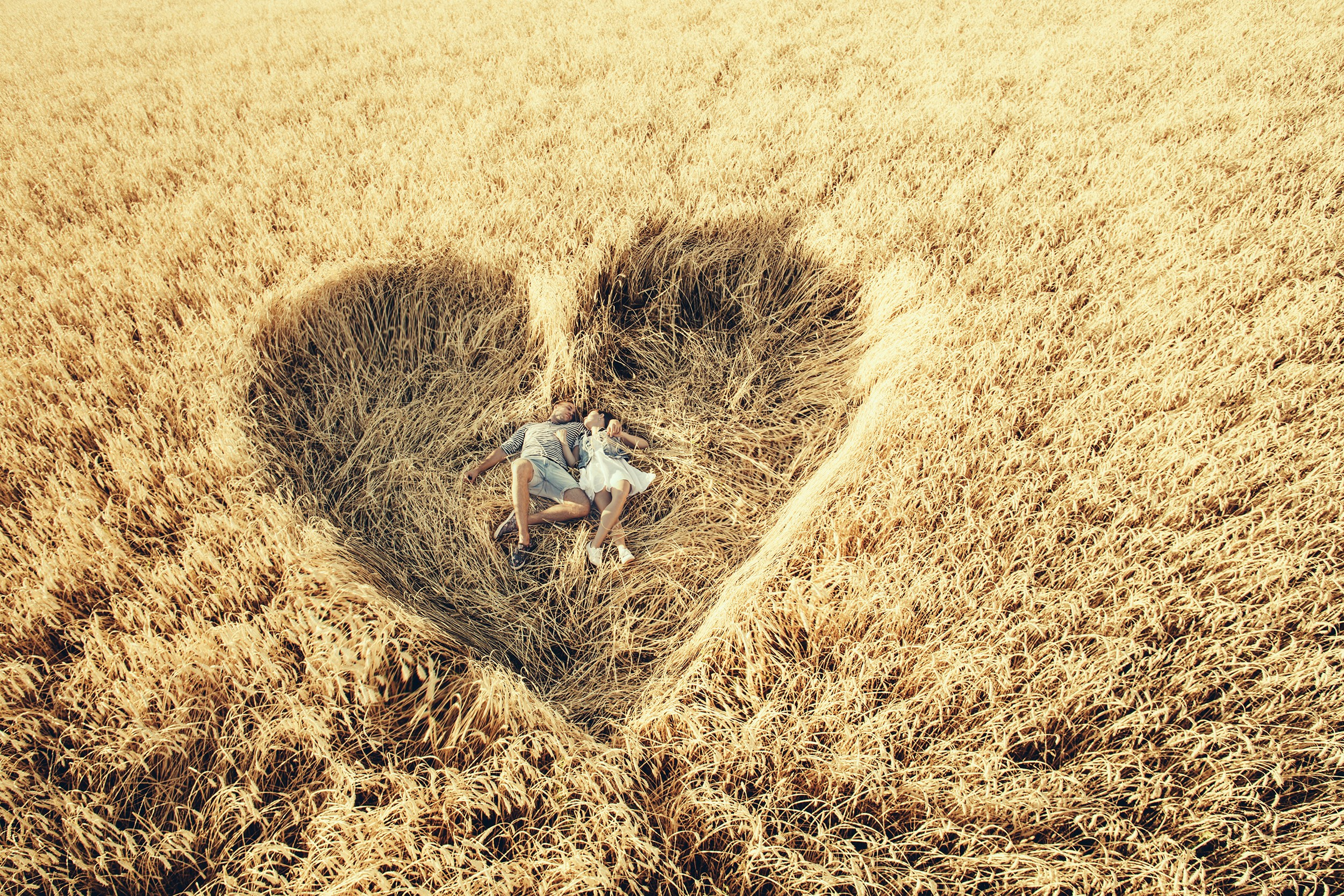 Поля пшеницы М5. Wedding photographer