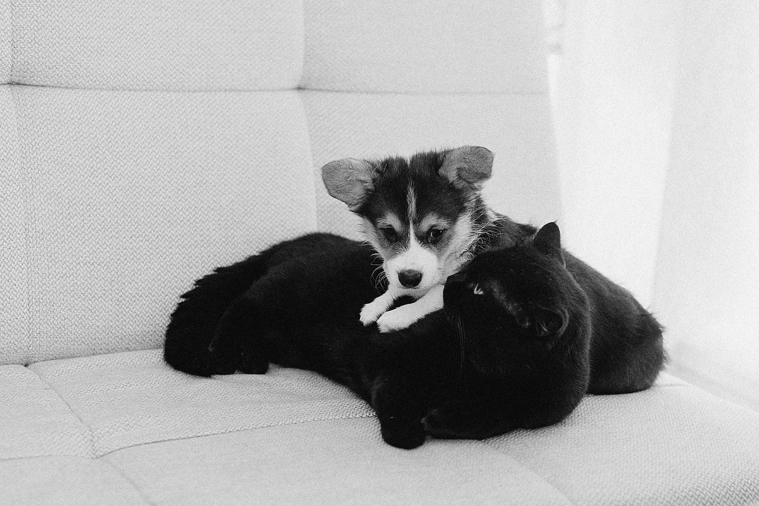 Зимний день Сергея, Софии и «хвостиков». Женский и семейный фотограф Сочи и Краснодар Ольга Маловик