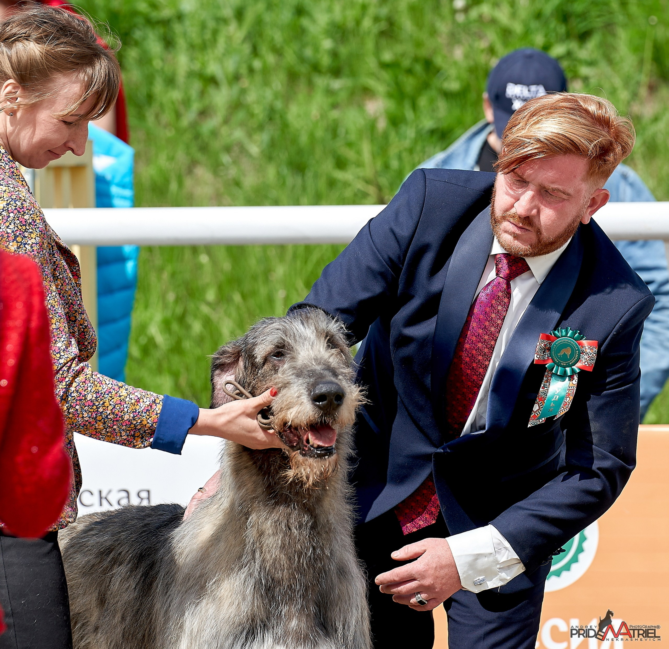 Работа в рингах — галерея NATRIEL