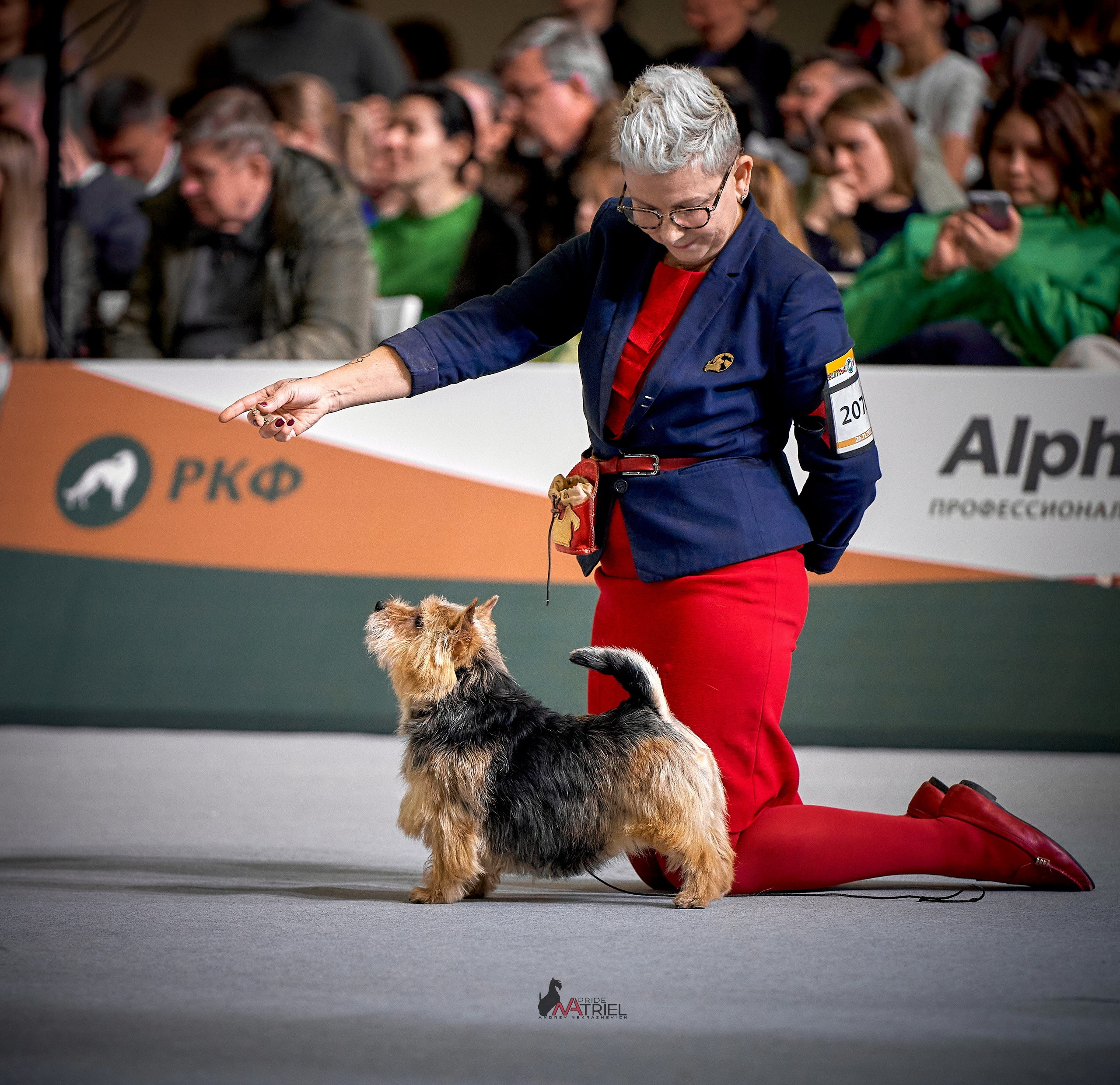 Работа в рингах — галерея NATRIEL