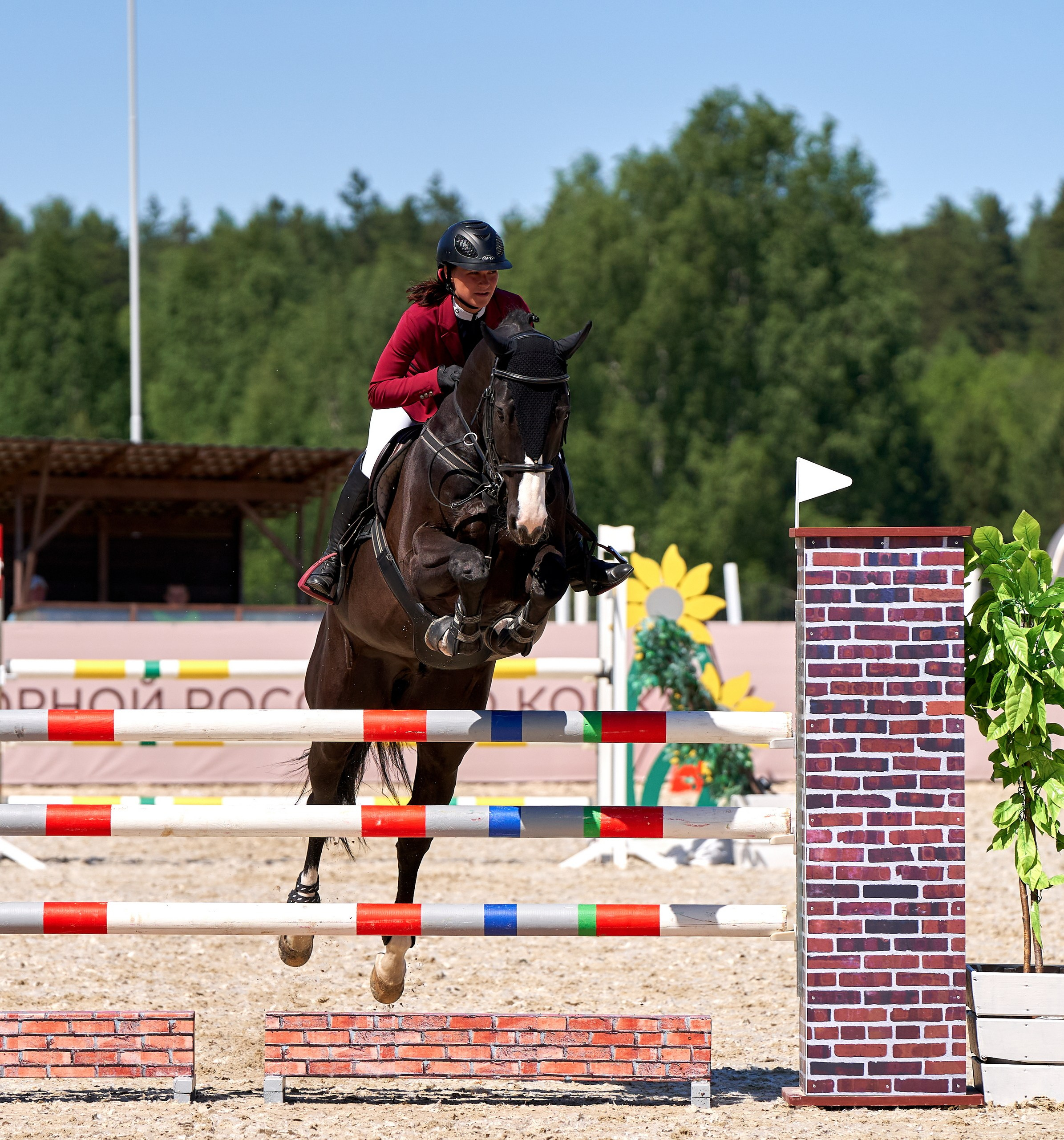 Соревнования на лошадях — галерея NATRIEL