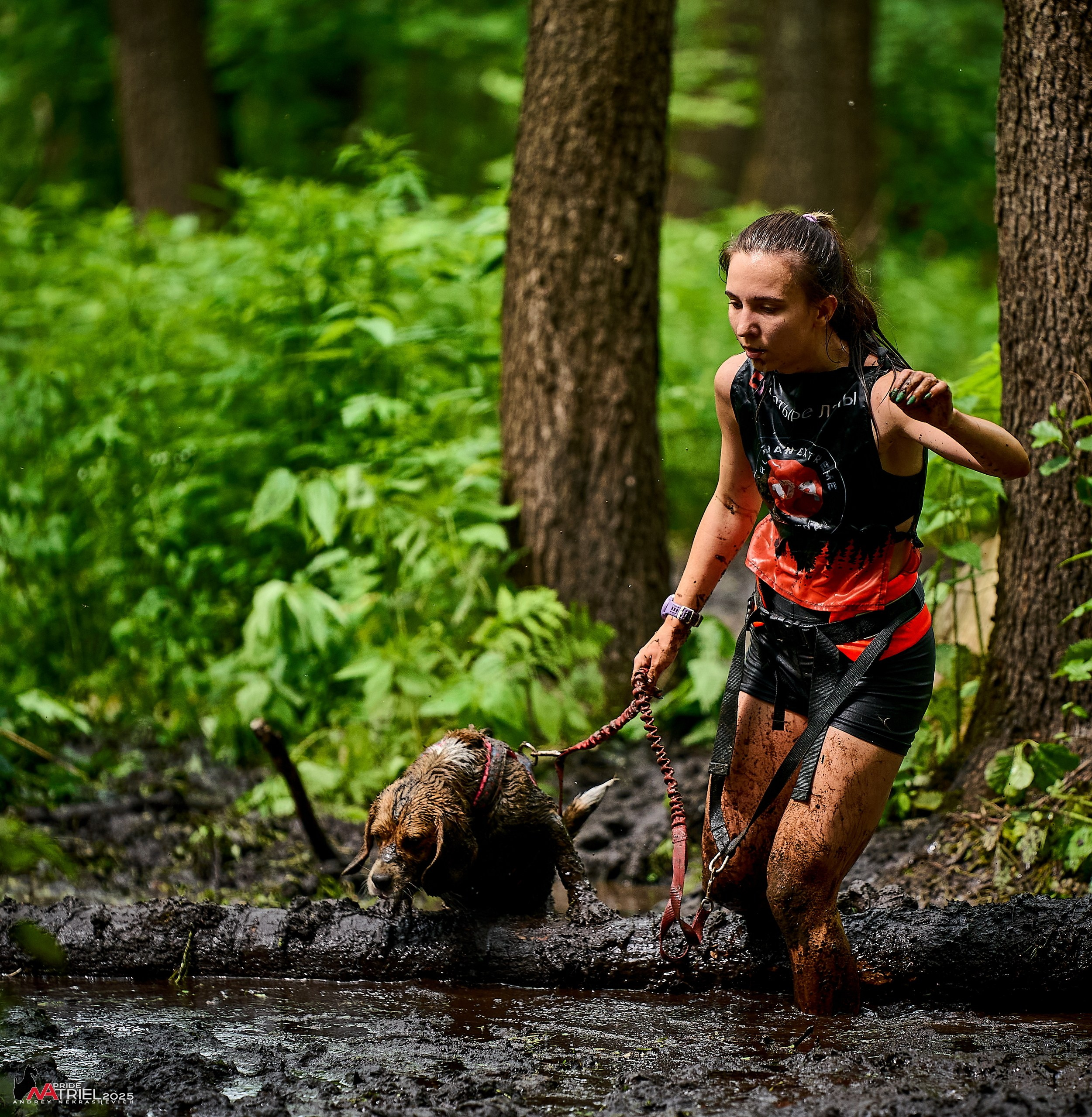 Russian Extreme Dog Trail — 2025