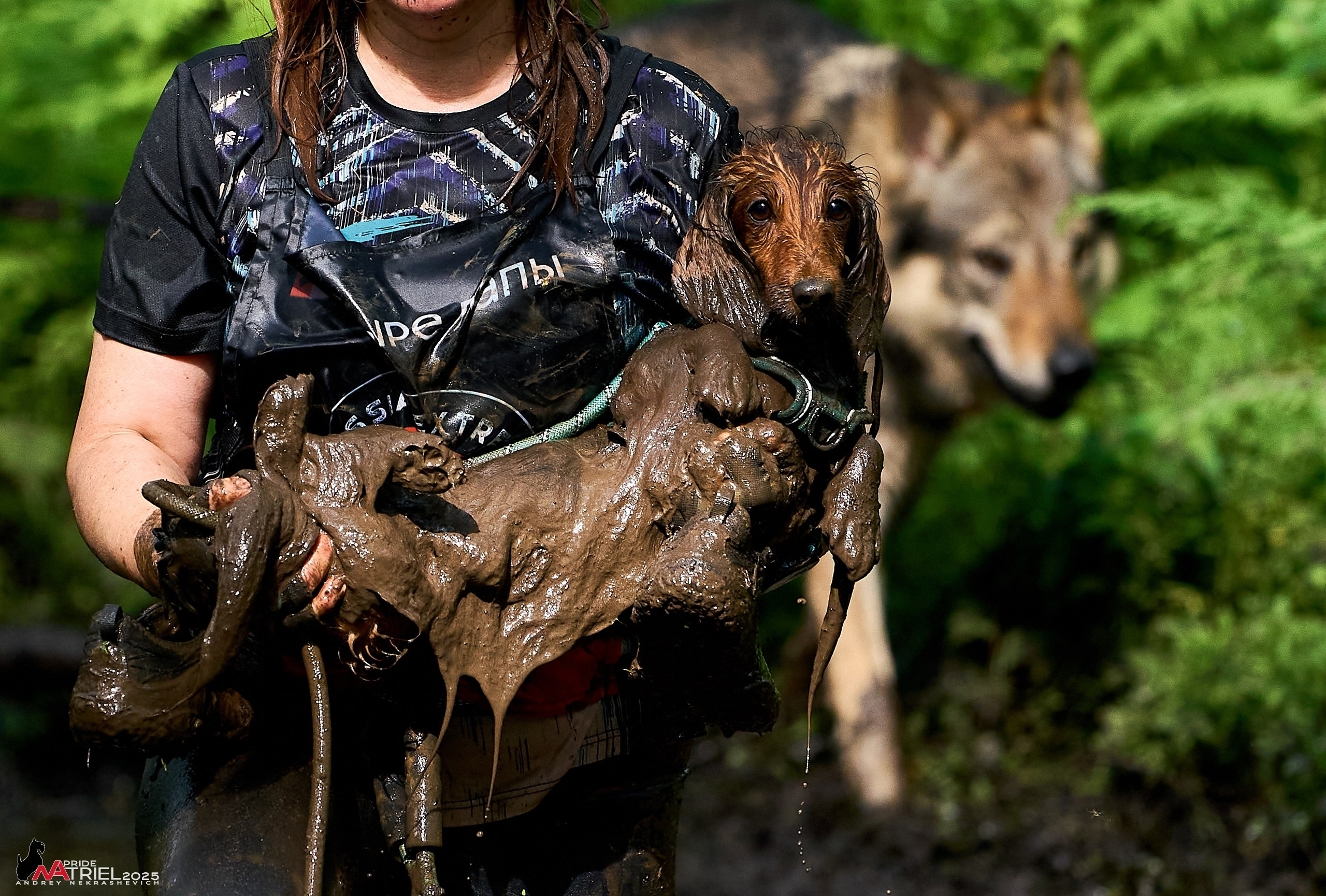 Russian Extreme Dog Trail — 2025