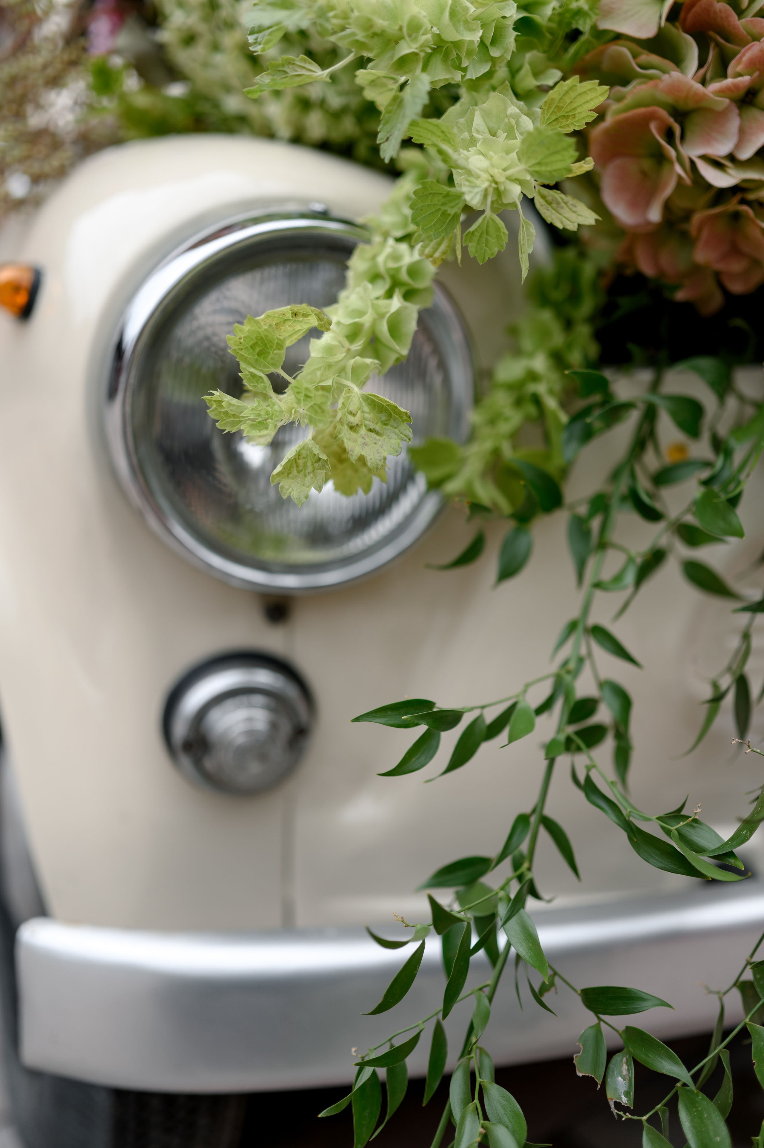 MINT FLOWERS. Свадебный фотограф Минск