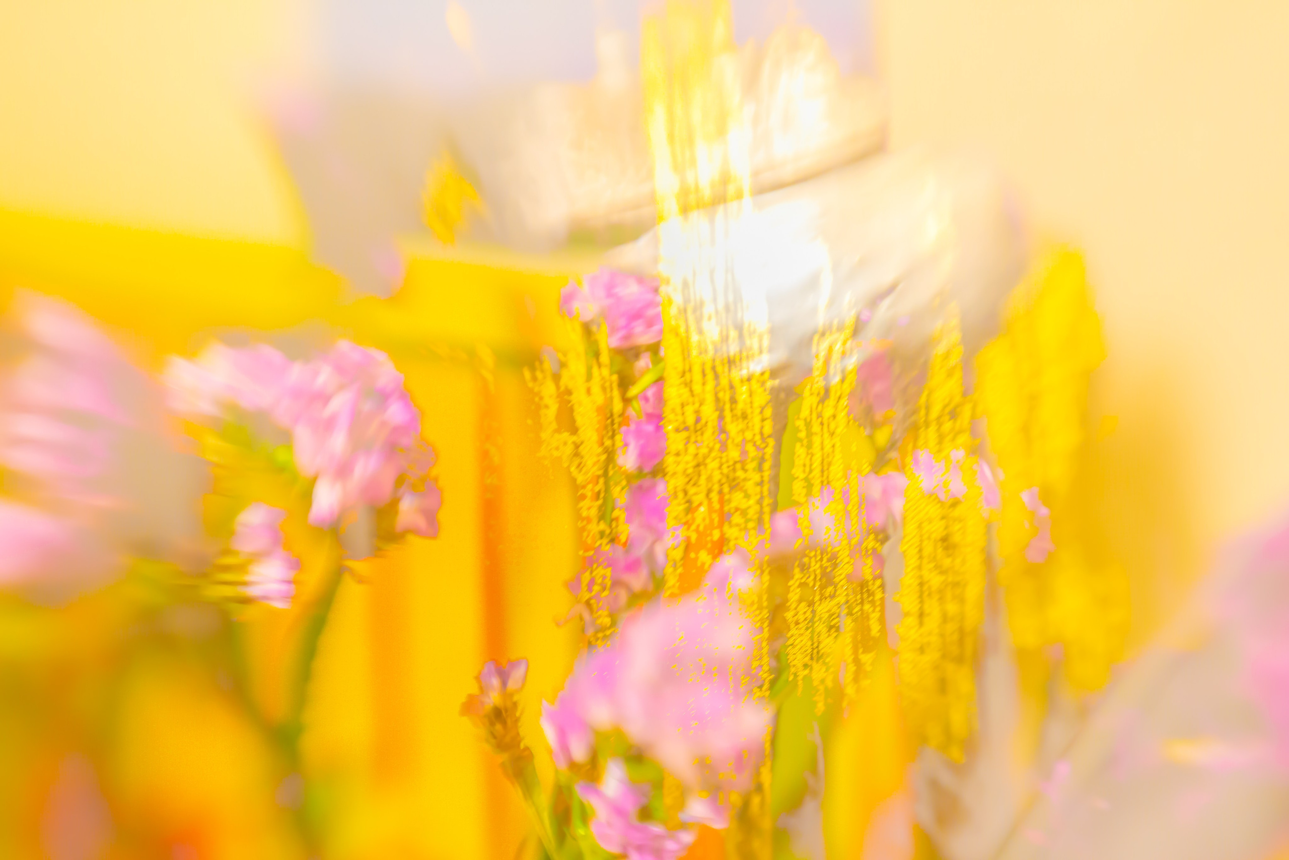 ЦВЕТА, 2025-2026. АННА ВЕРСО / ANNA VERSO | Визуальный художник / Visual artist