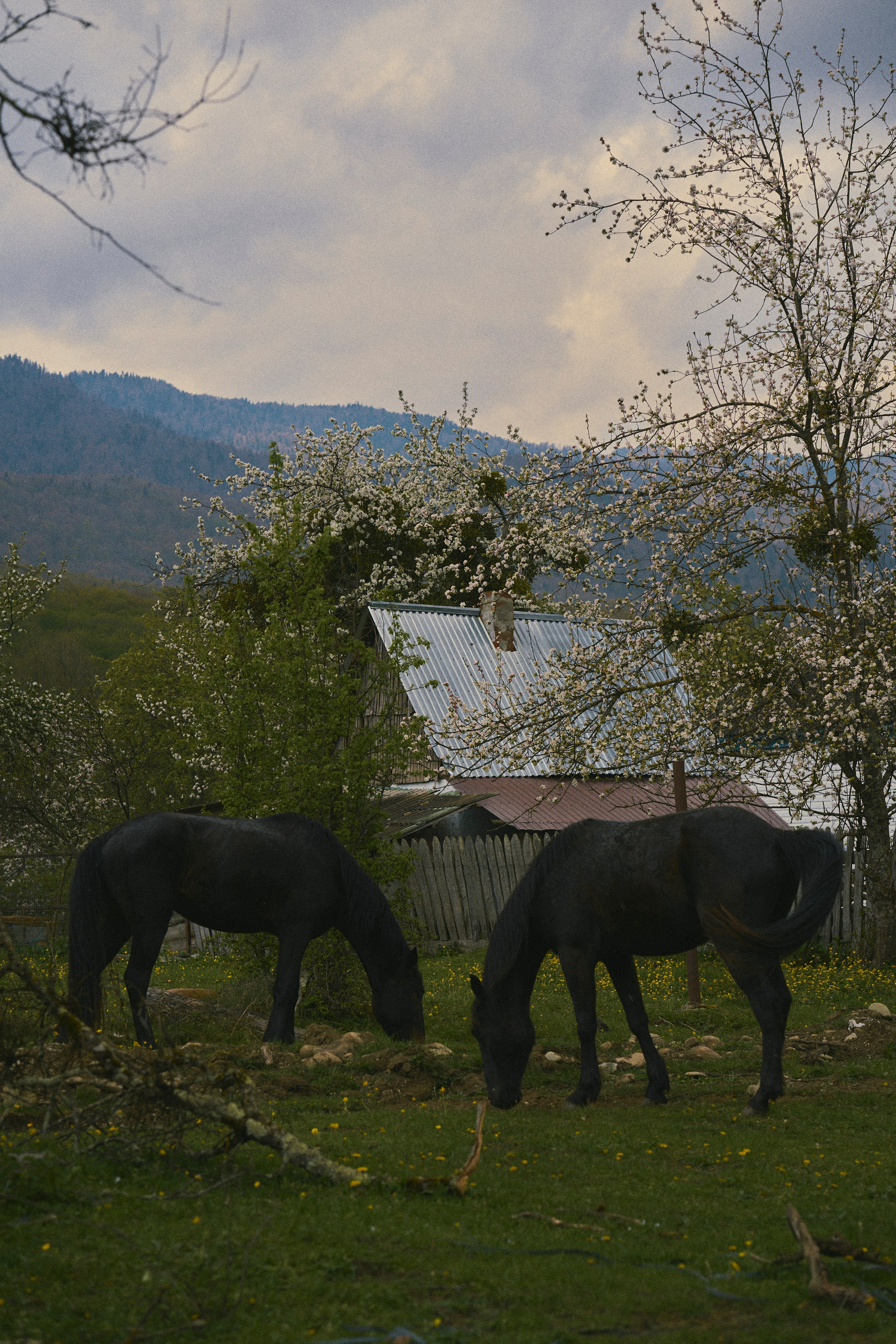 Krasnodar. Гасанова Алина|Фотограф в Санкт-Петербурге