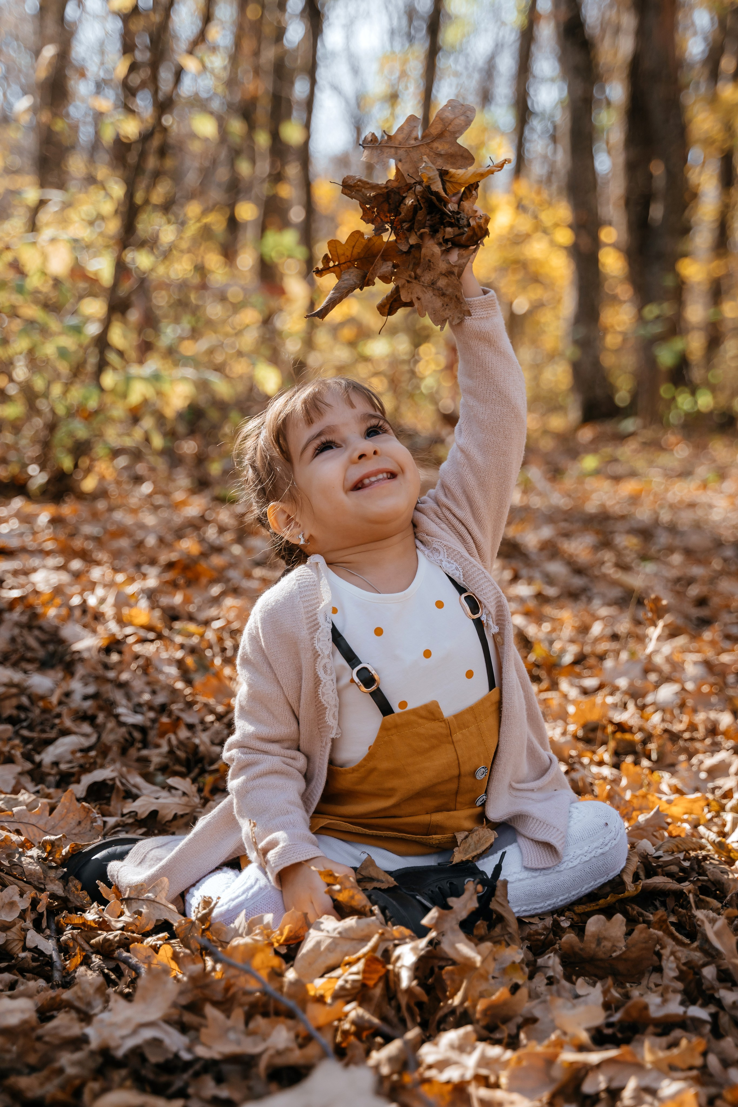 Осень. Фотограф Ларионова Надежда|Ставрополь