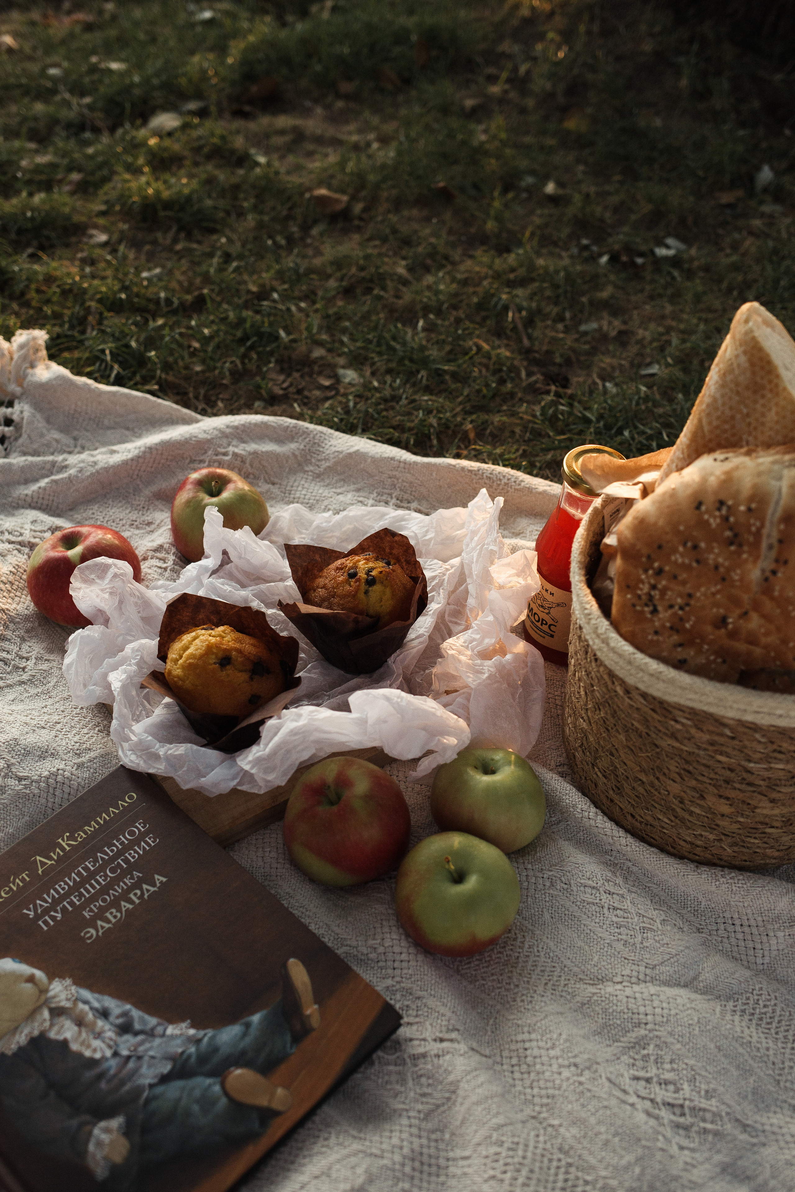 Даша, Миша и Эмиль. Фотограф Ольга Сапронова. Свадебный фотограф Ольга Сапронова