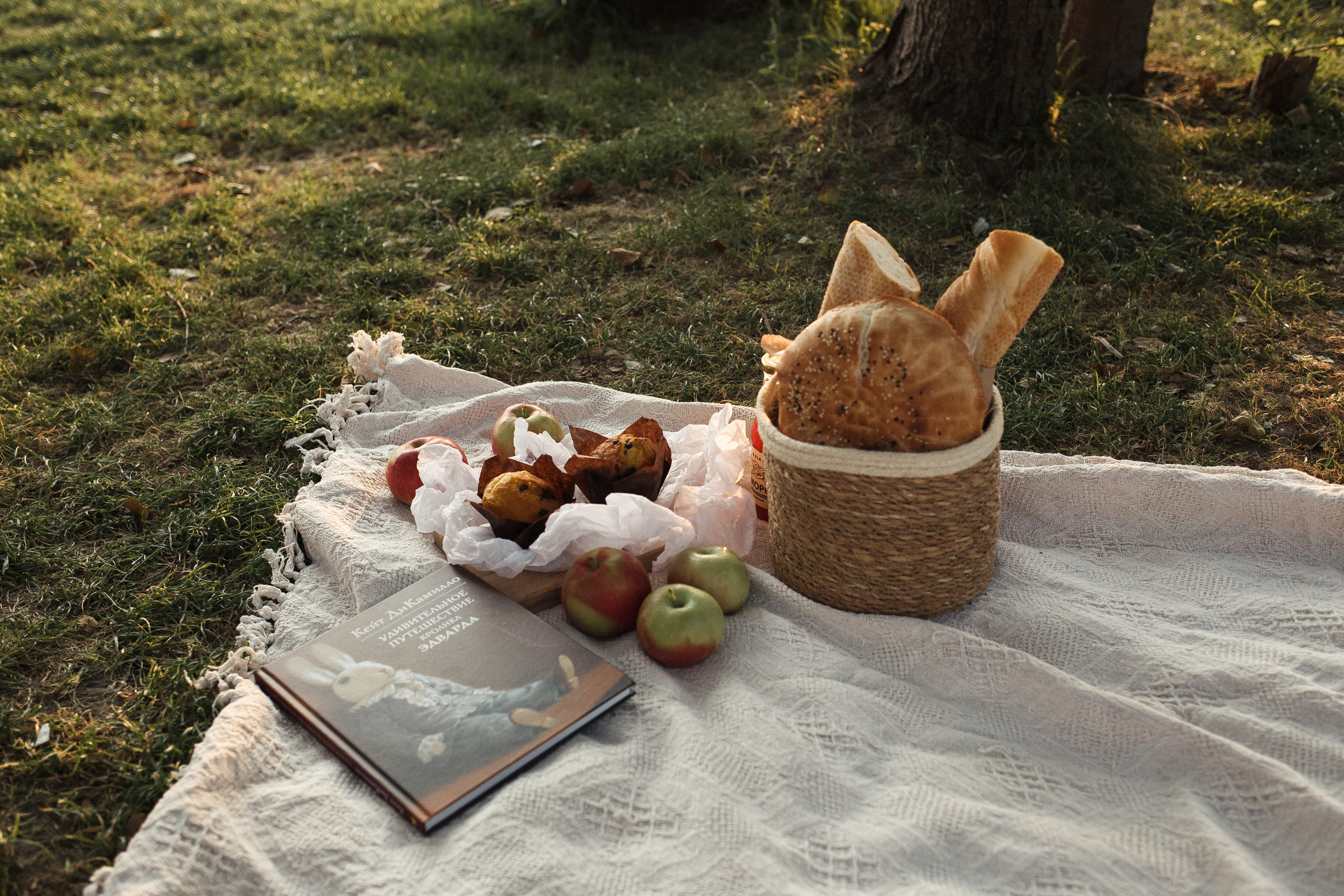 Даша, Миша и Эмиль. Фотограф Ольга Сапронова. Свадебный фотограф Ольга Сапронова