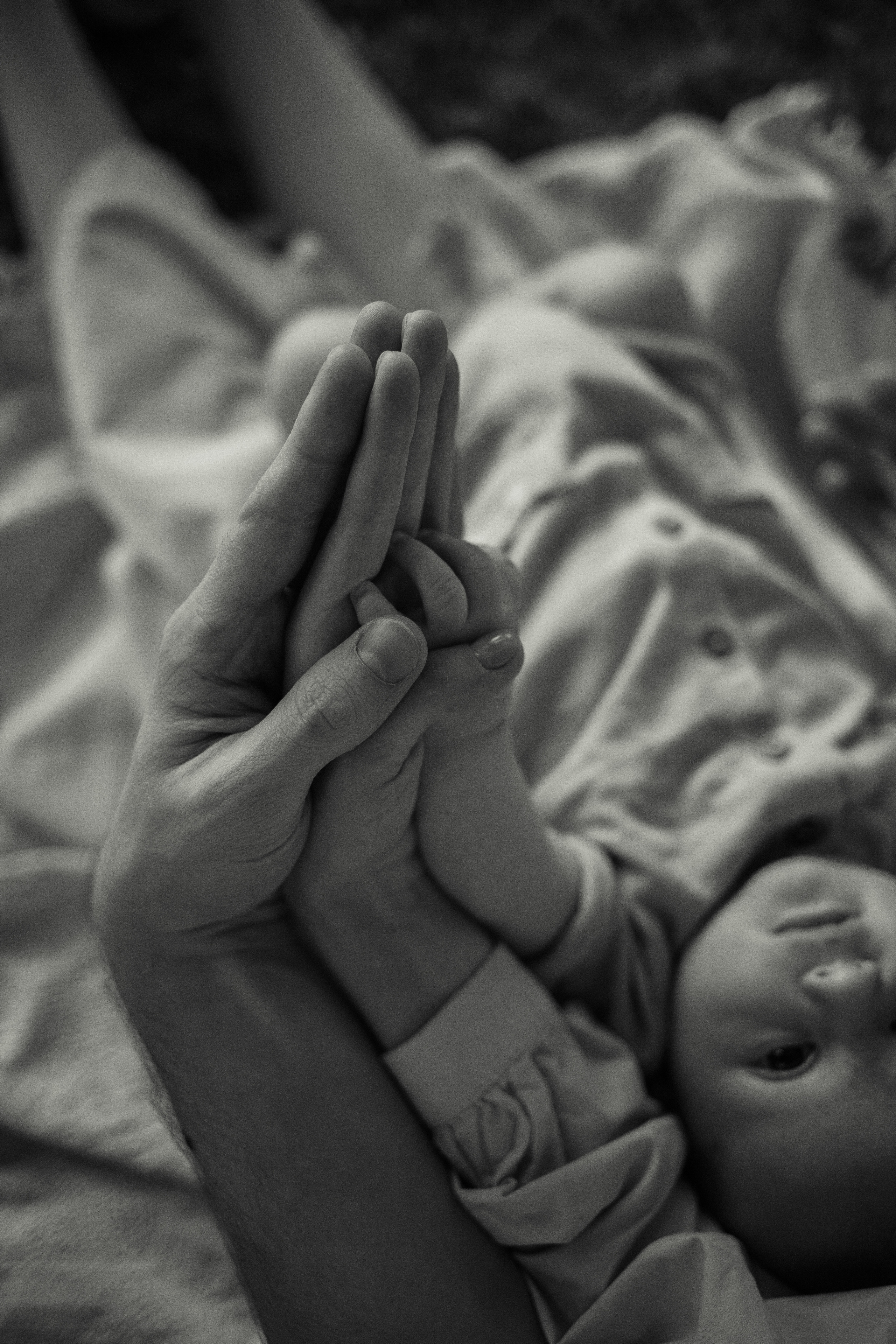 Даша, Миша и Эмиль. Фотограф Ольга Сапронова. Свадебный фотограф Ольга Сапронова