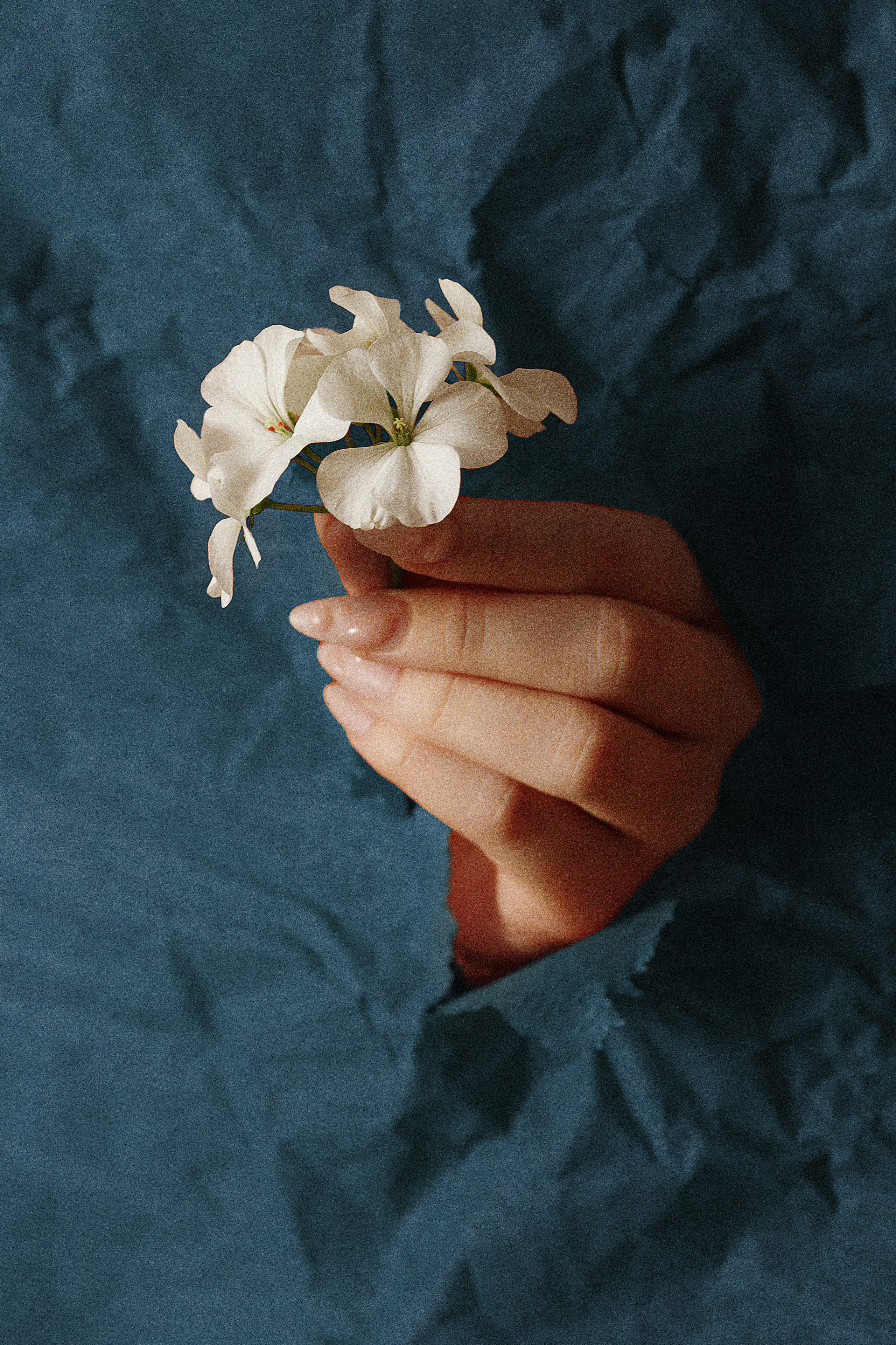 Проект «366»|2024|Фото каждый день. LENA GRACE photographer ||ЛЕНА ГРЭЙС фотограф