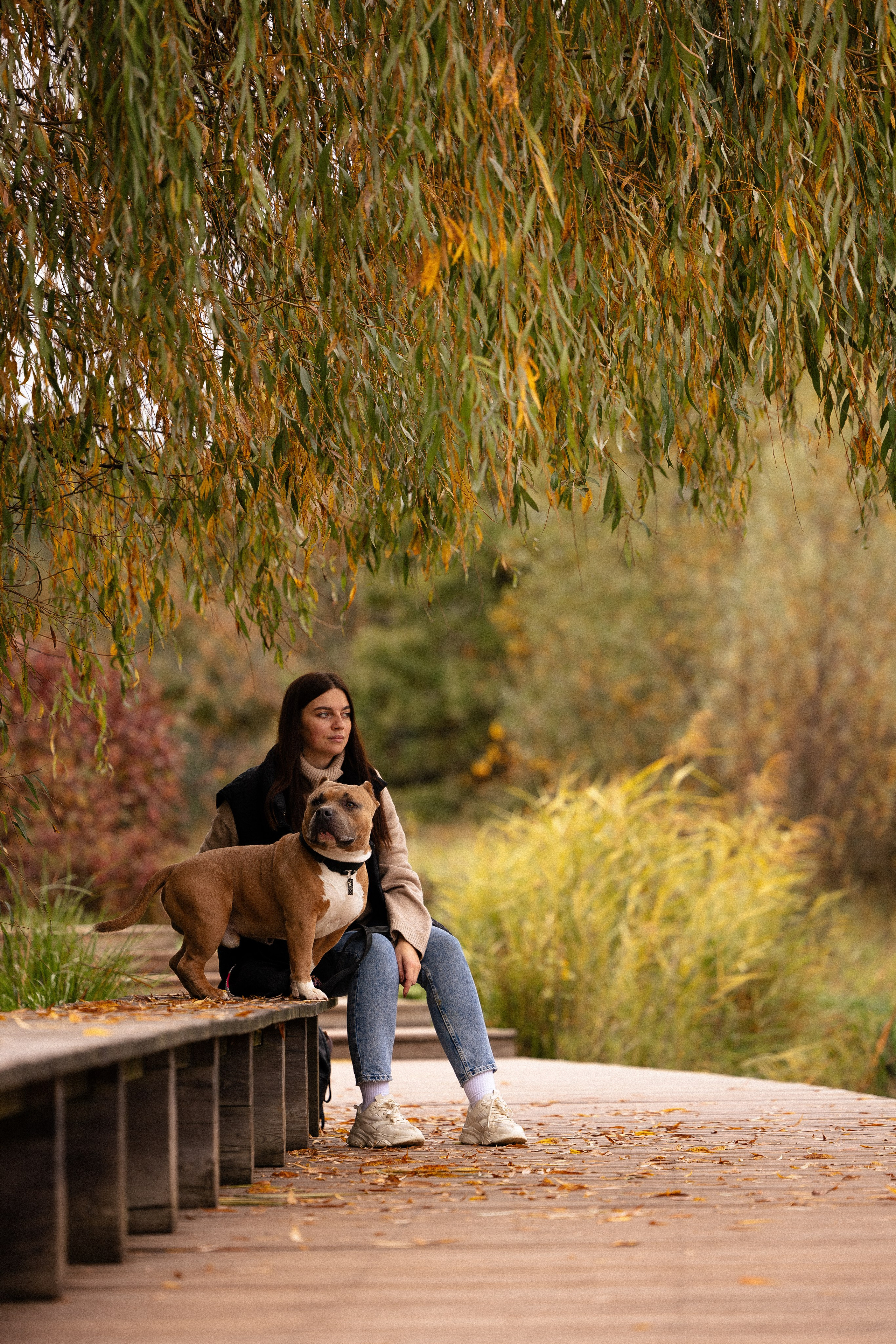 Алена и Тор. Фотограф и видеограф анималист Аганина Дарья