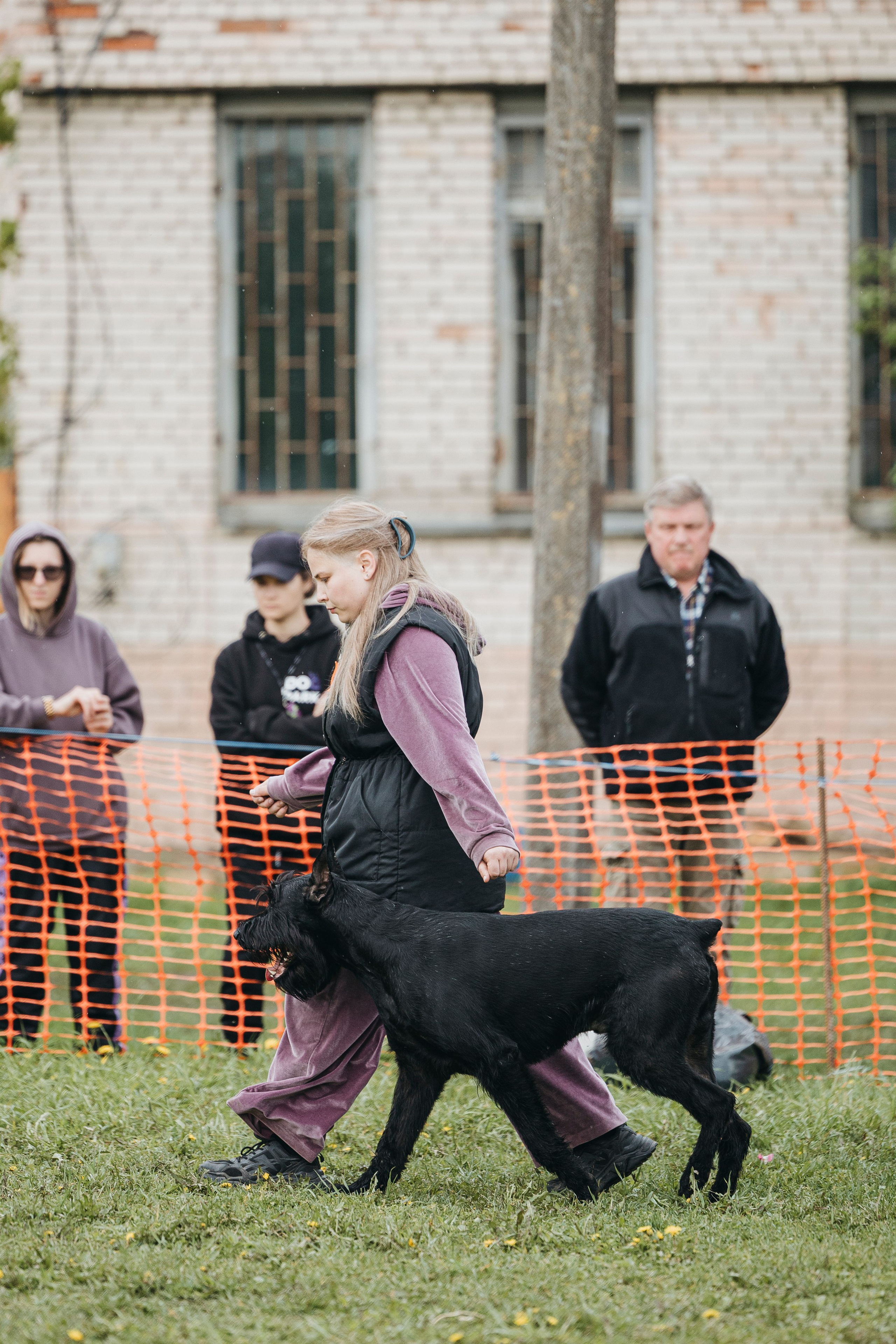 26.05.25 г. Пушкин квалификационные соревнования. Фотограф-анималист Анна Маринич
