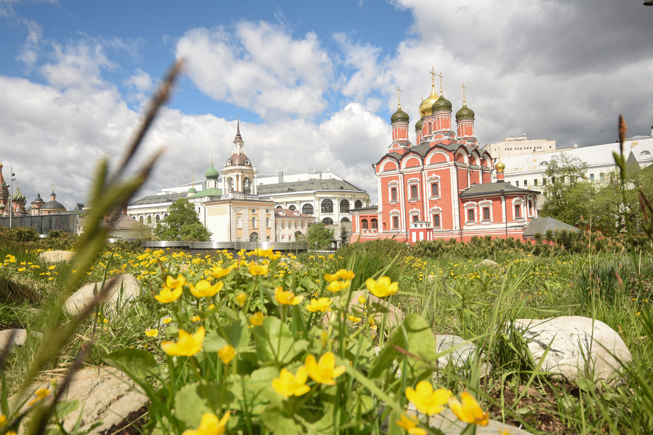 Взгляд на мир через объектив 10-20mm. Анна Боровикова, фотограф Пушкино