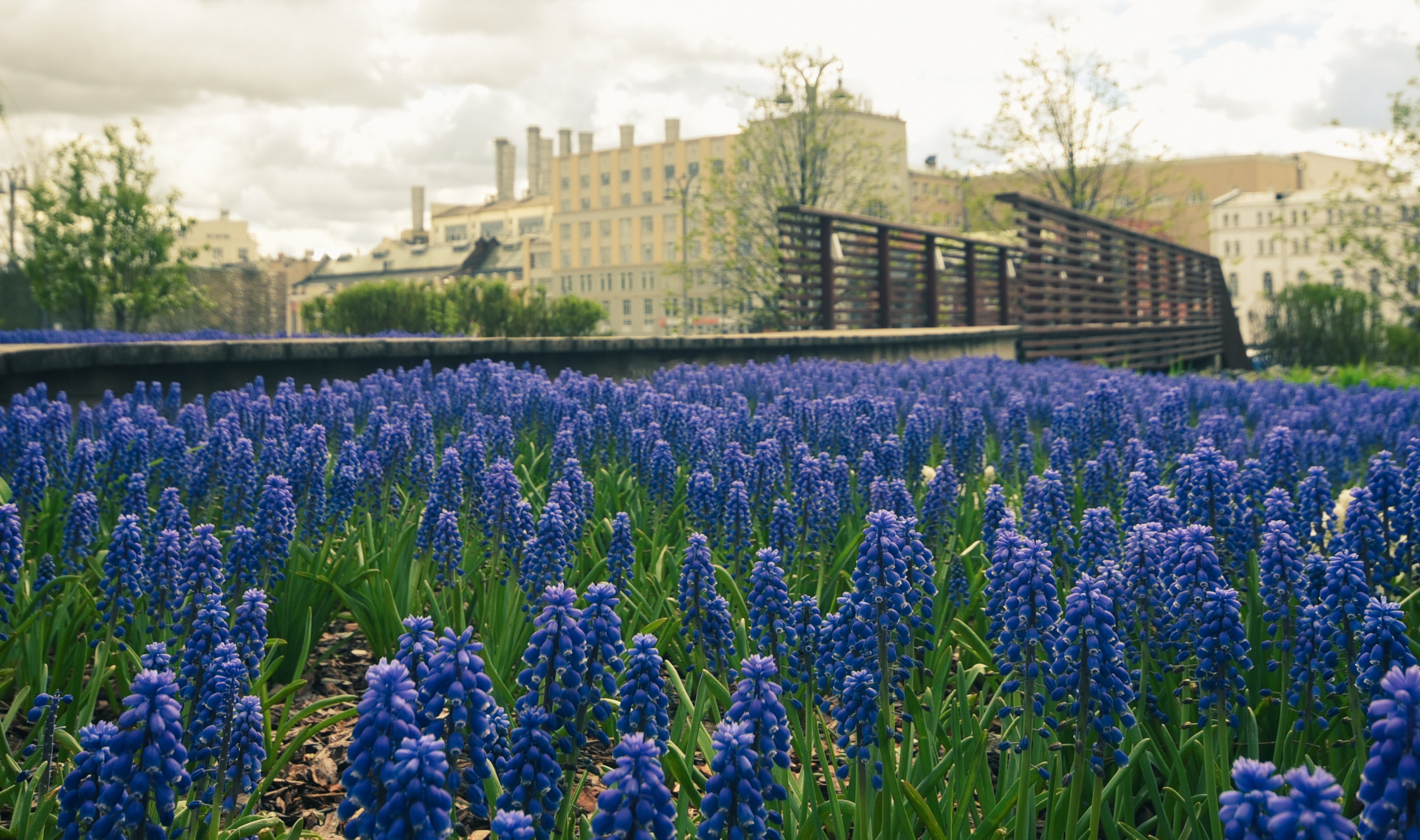 Взгляд на мир через объектив 10-20mm. Анна Боровикова, фотограф Пушкино